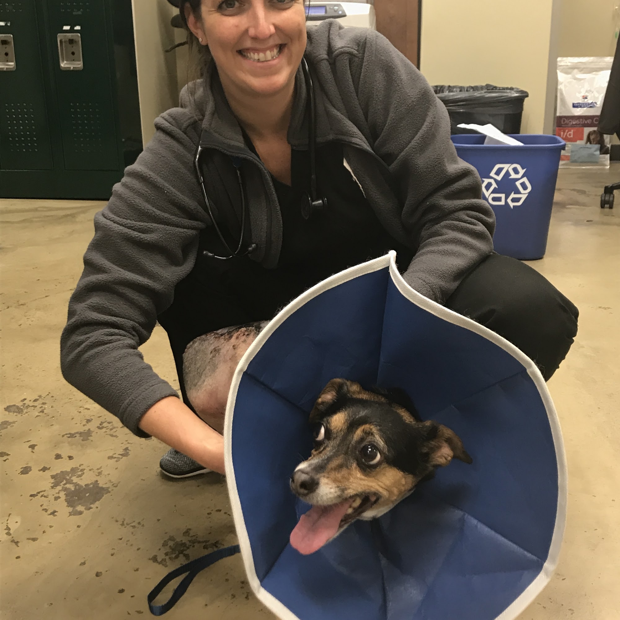 Nashville Veterinary Specialists + Animal Emergency Nashville