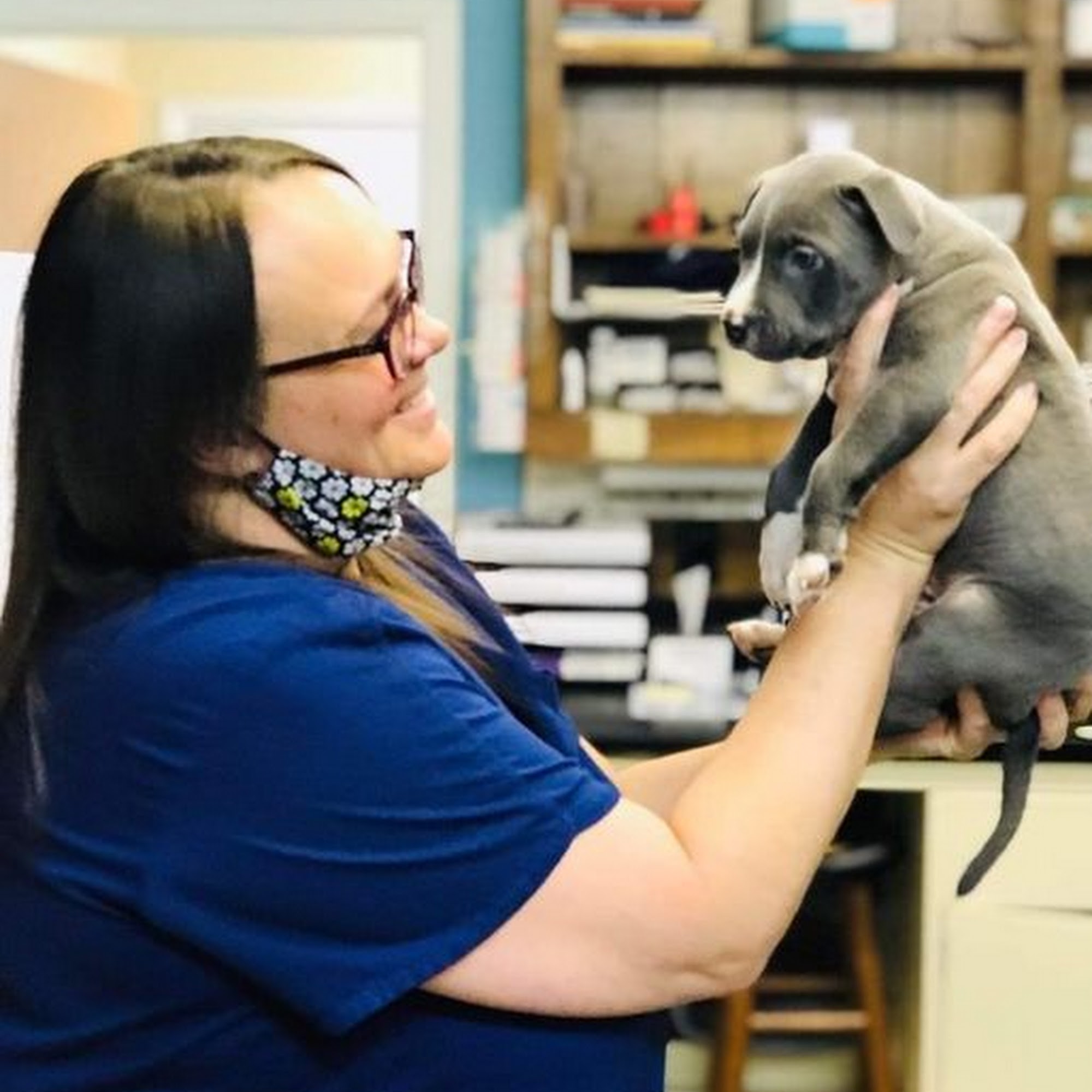 Bellshire Family Vet Nashville