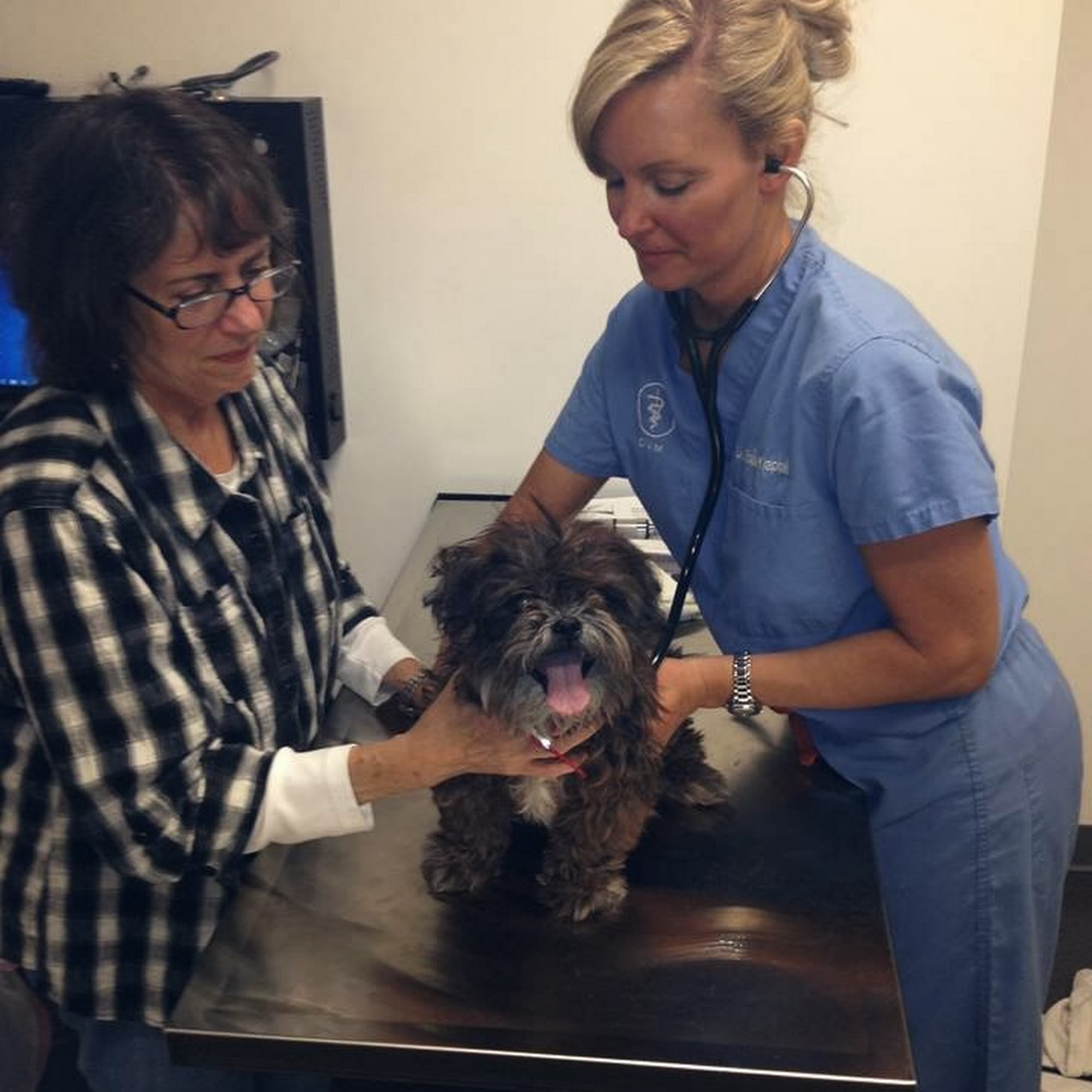 Parker's Paws Animal Hospital Nashville