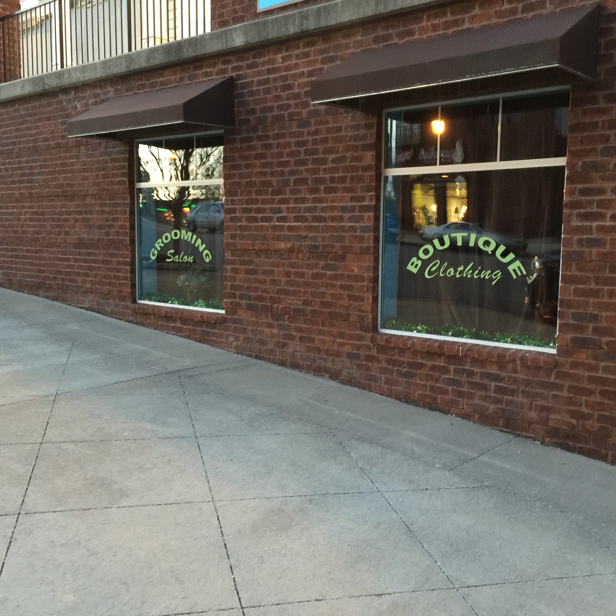 Pawsitively Purrfect Nashville