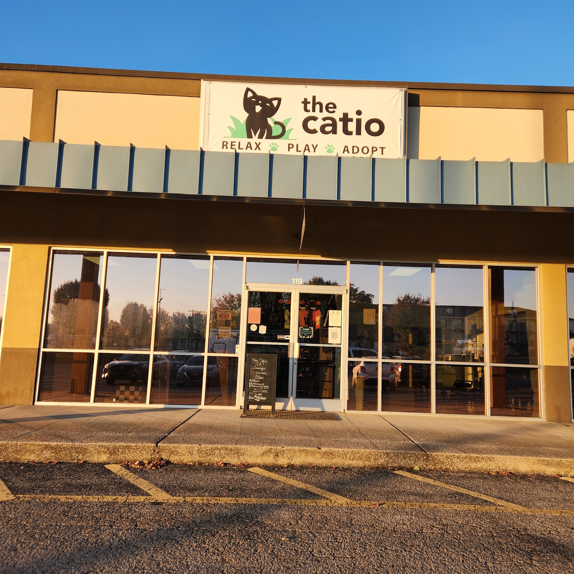 The Catio Cat Lounge Nashville