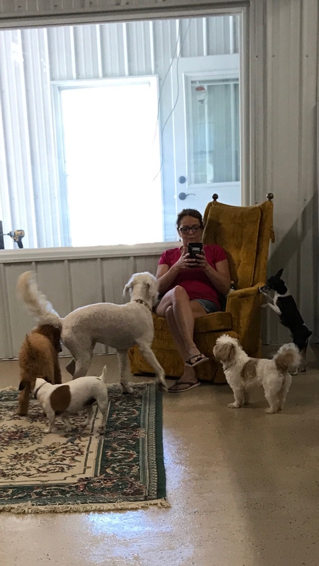 The Pampered Pooch Pet Spa & Resort Nashville