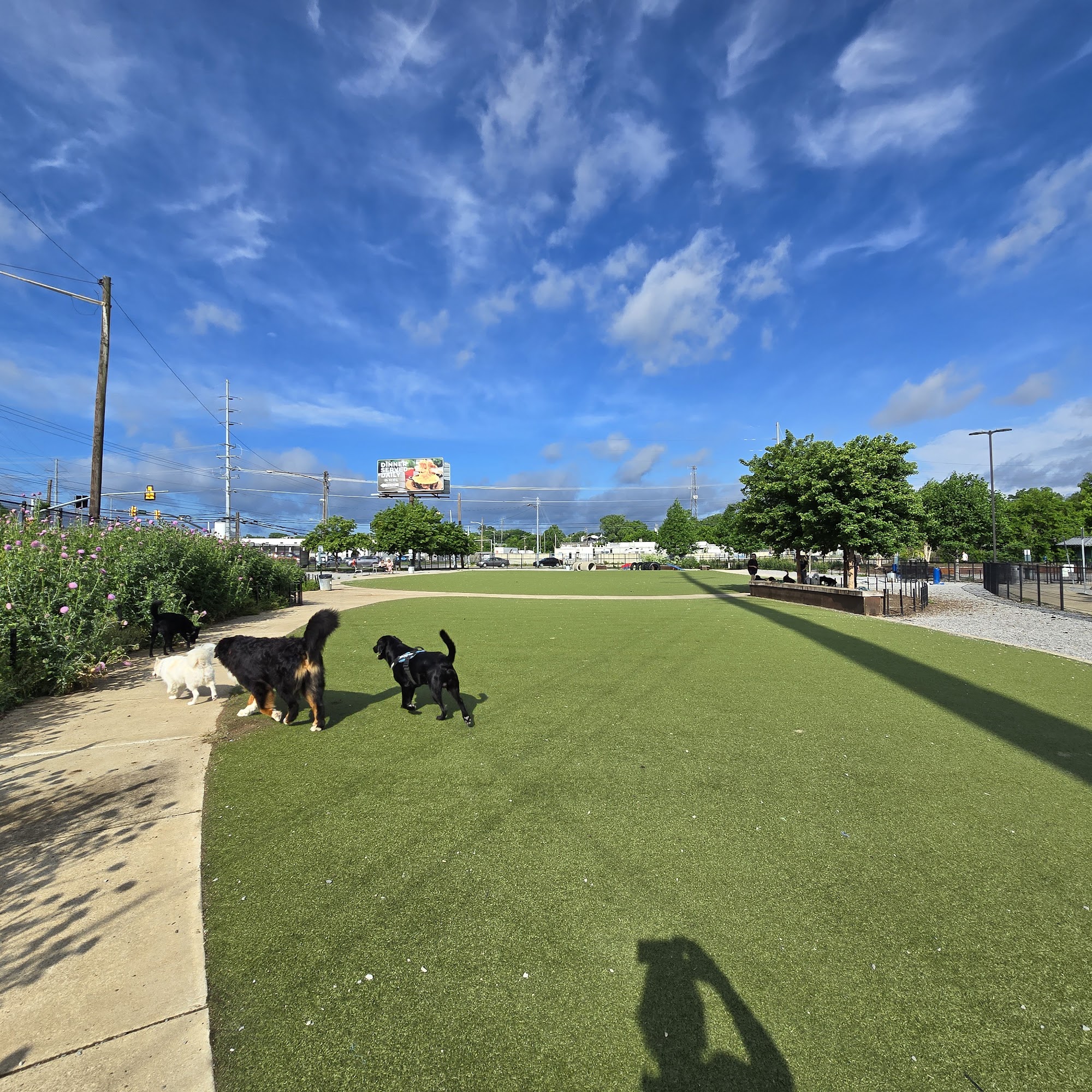 Fair Park Dog Park Nashville