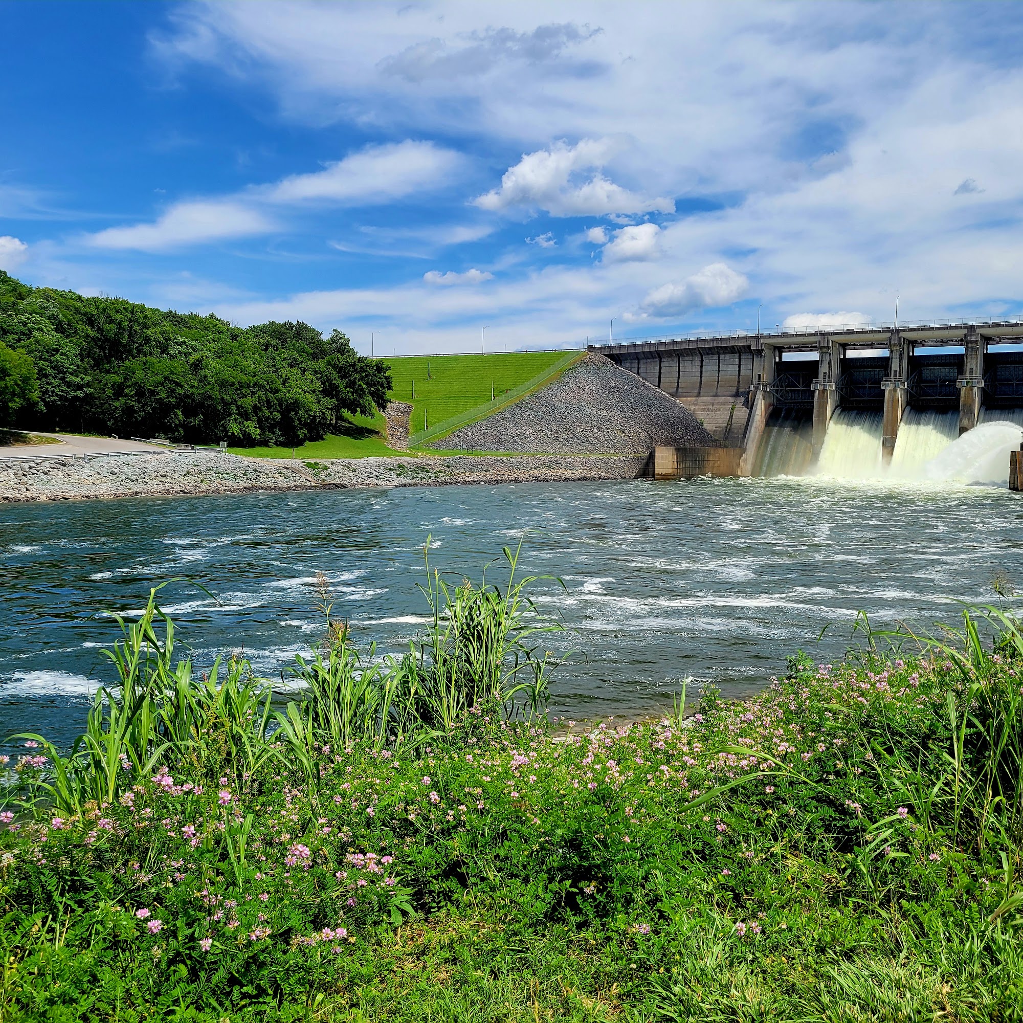 Stones River Dog Park Nashville