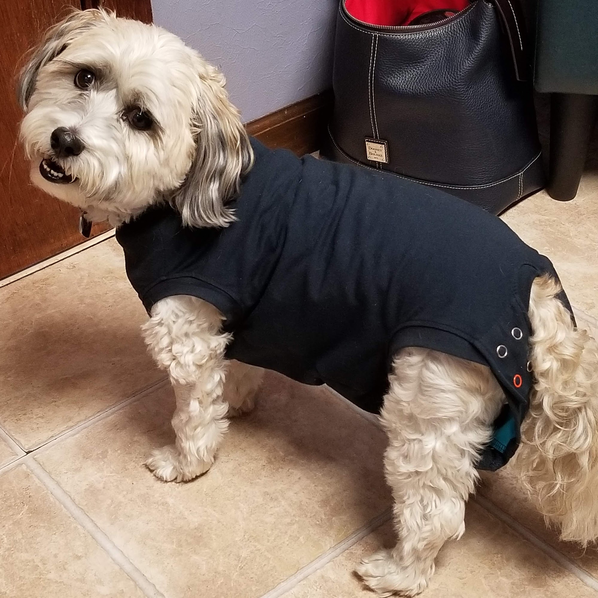 Town & Country Animal Hospital New Market