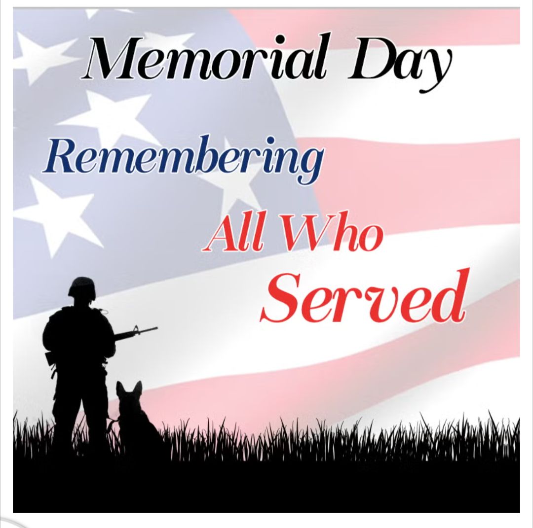 Lucky Dawg Pet Grooming Newbern