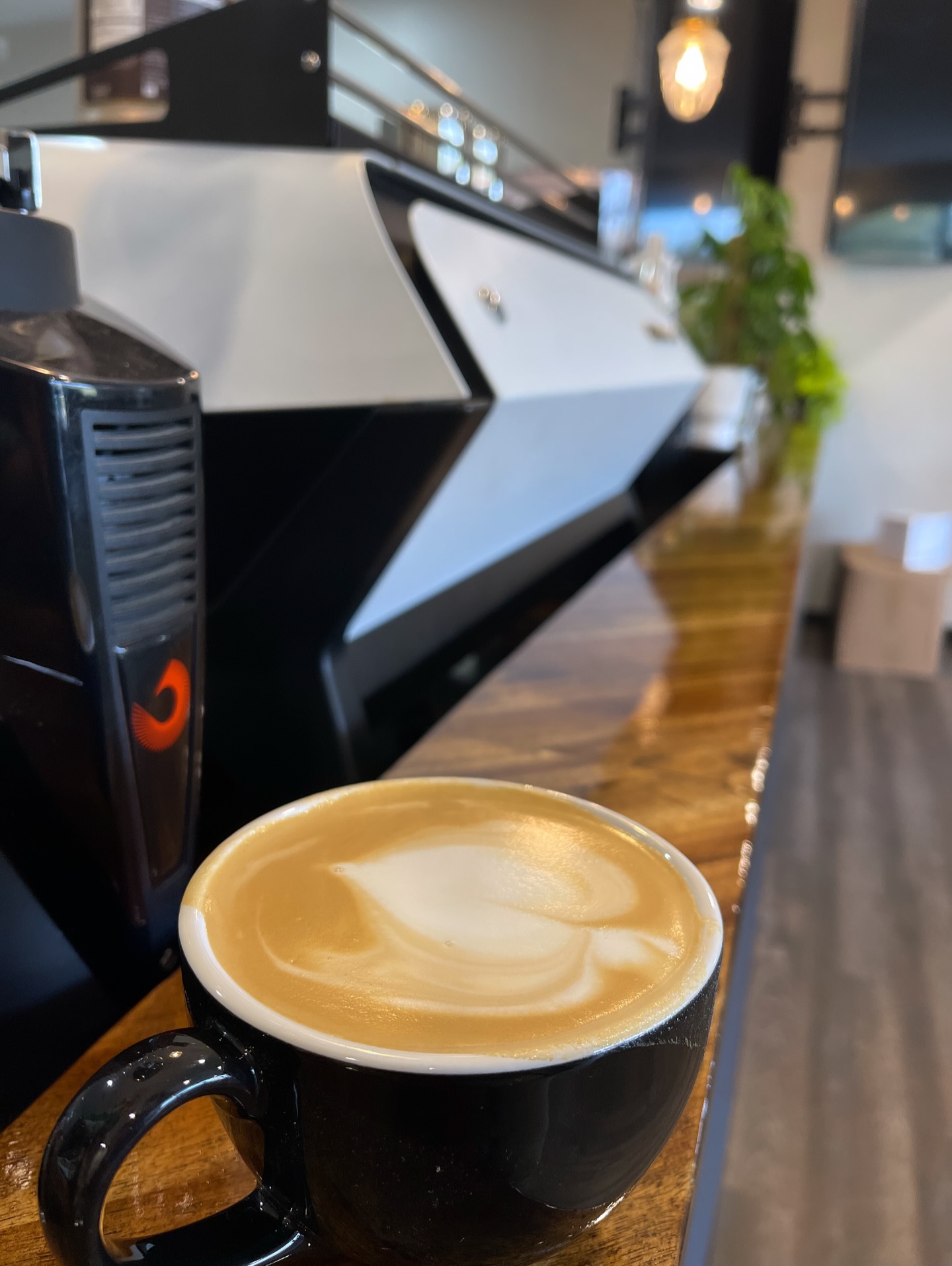 Snowbird Mountain Coffee Co. - Drive Thru Newport