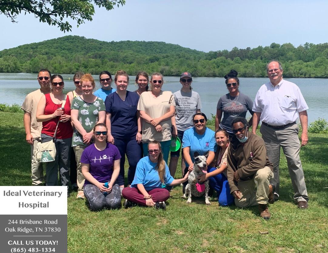 Ideal Veterinary Hospital Oak Ridge