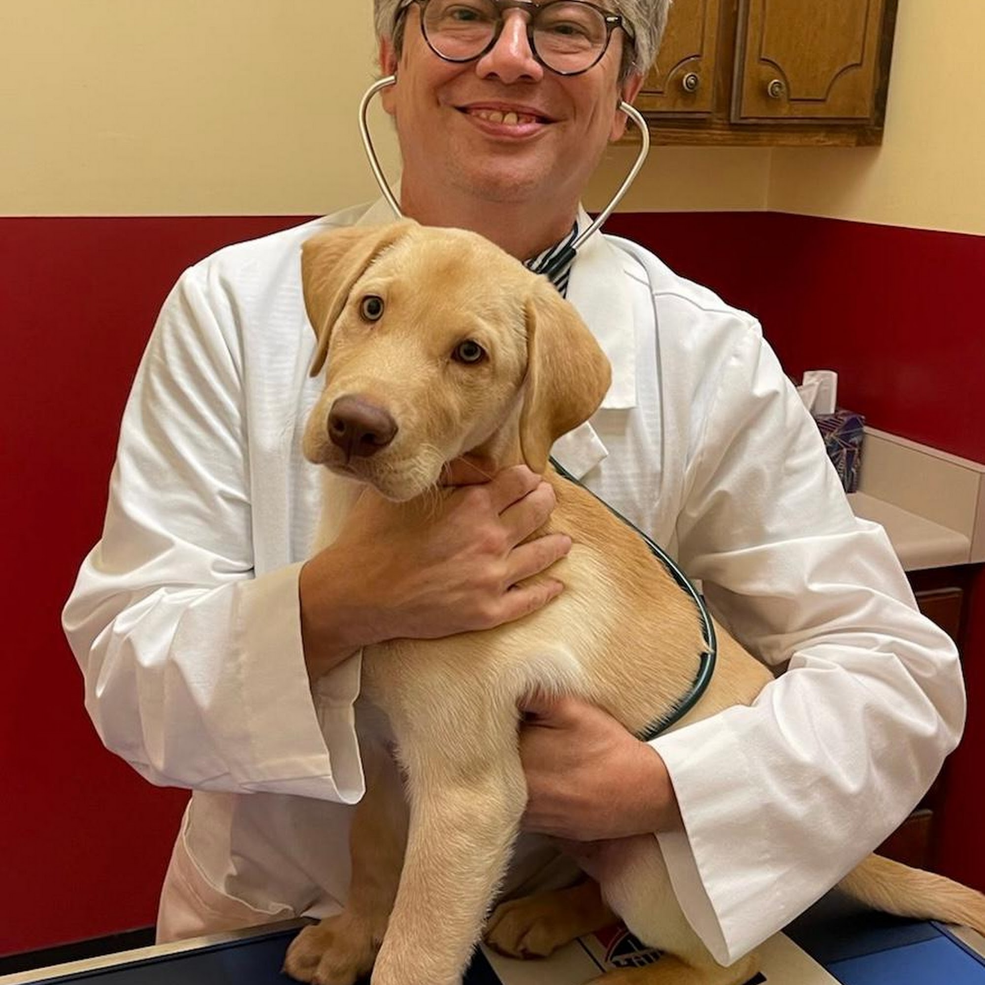 Animal Care Hospital Oakland