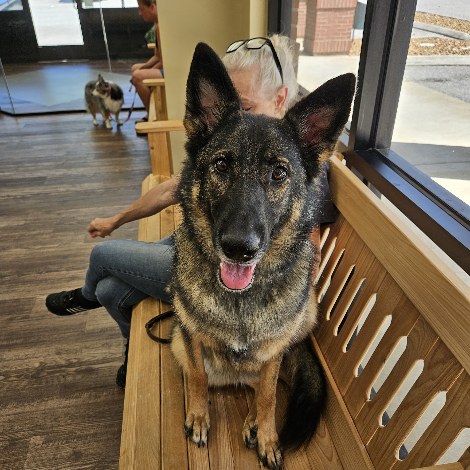 Main Street Animal Clinic Oakland