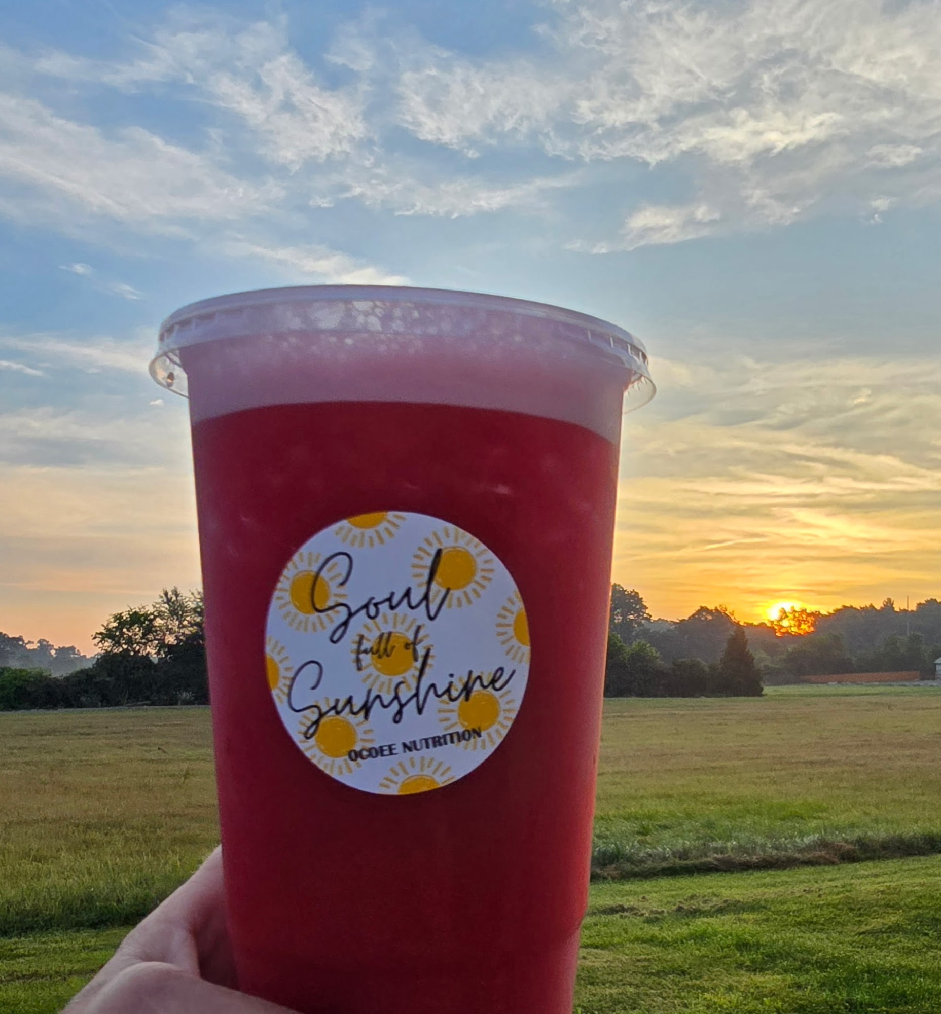 Ocoee Nutrition Menu