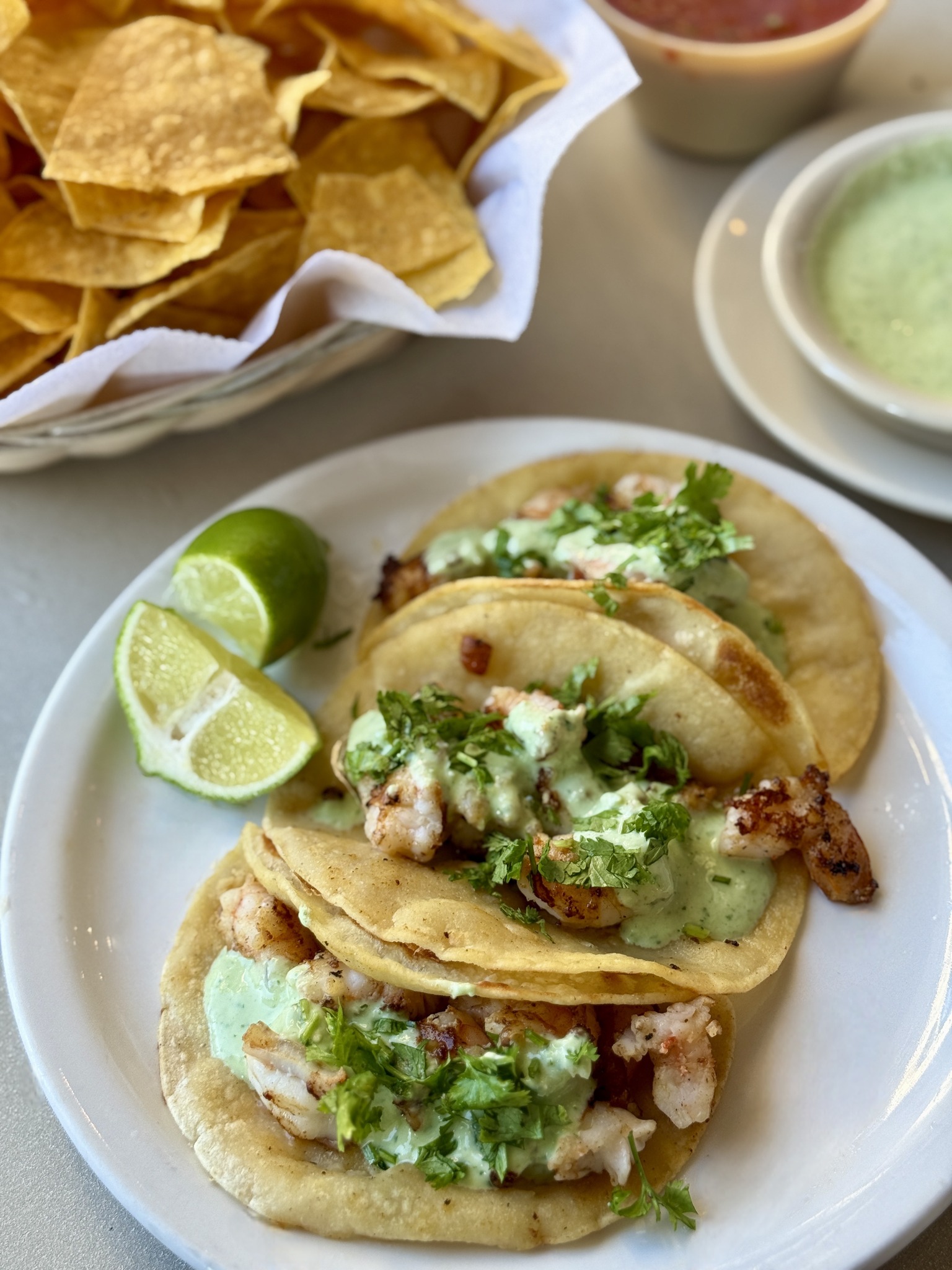 Cinco De Mayo Mexican Restaurant Lebanon Rd Old Hickory