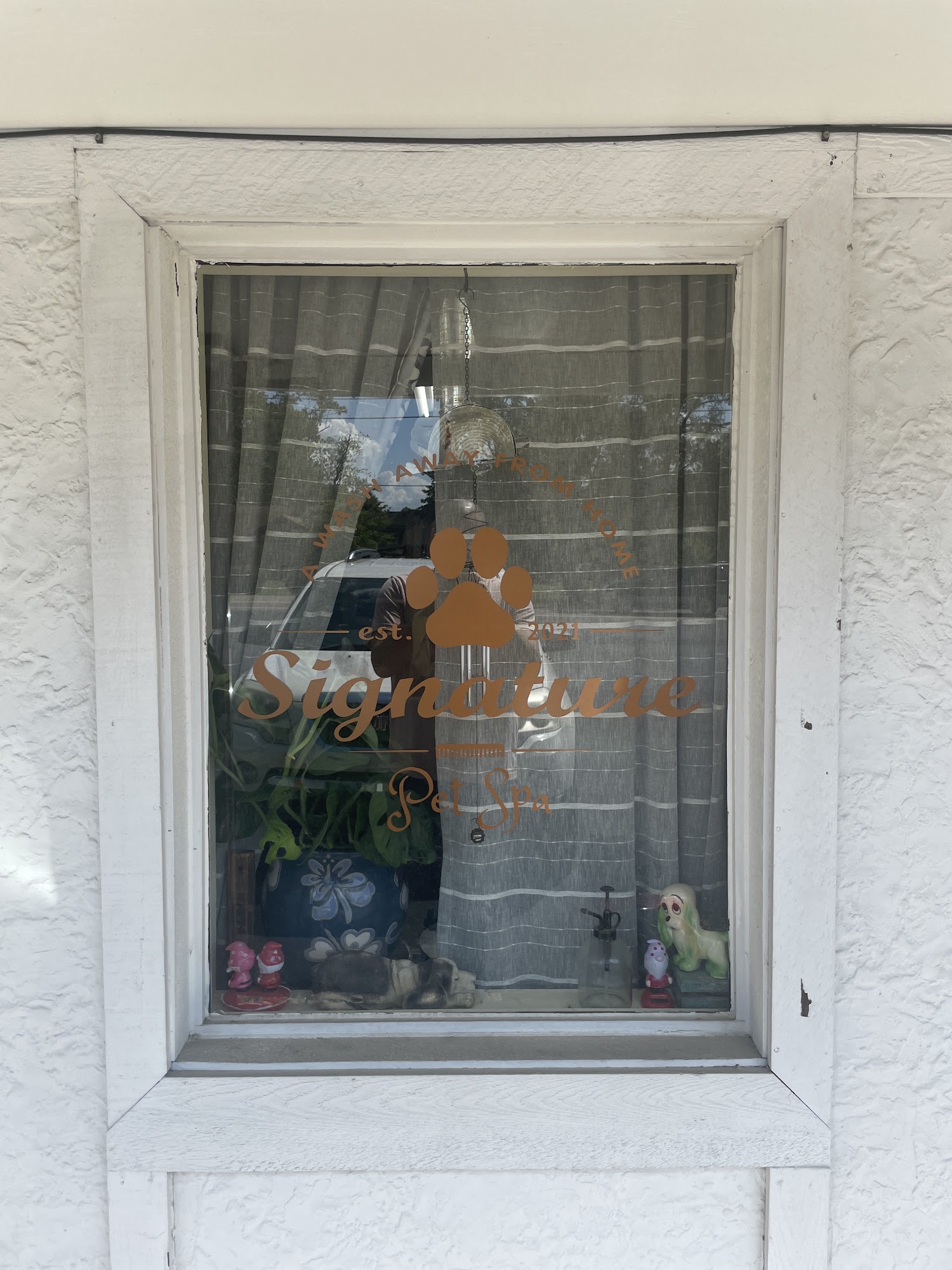 Signature Pet Spa Oneida