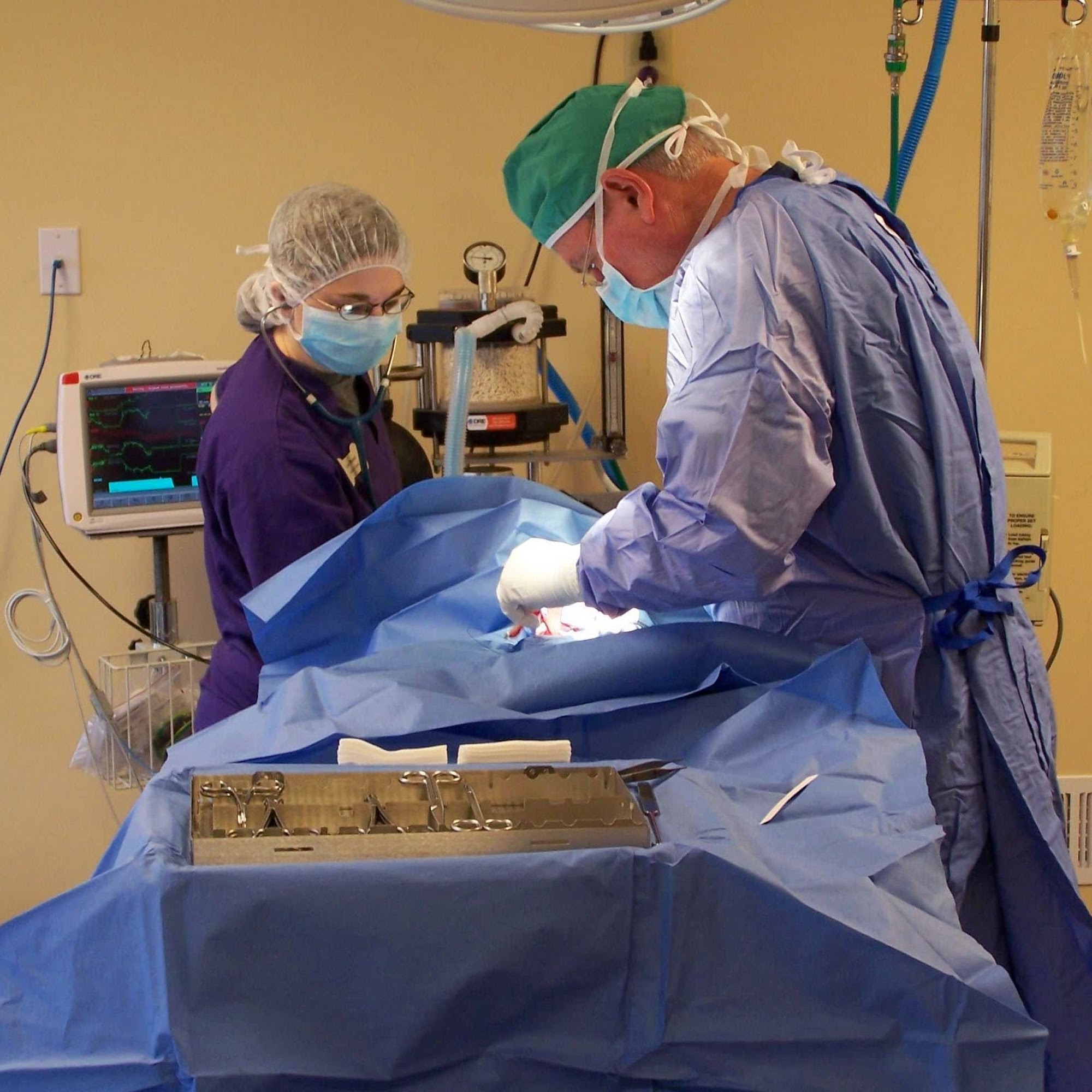 The Animal Care Center of Ooltewah Ooltewah