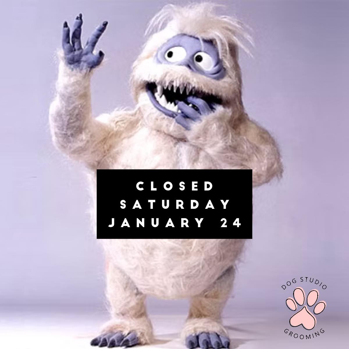 The Dog Studio Pleasant View