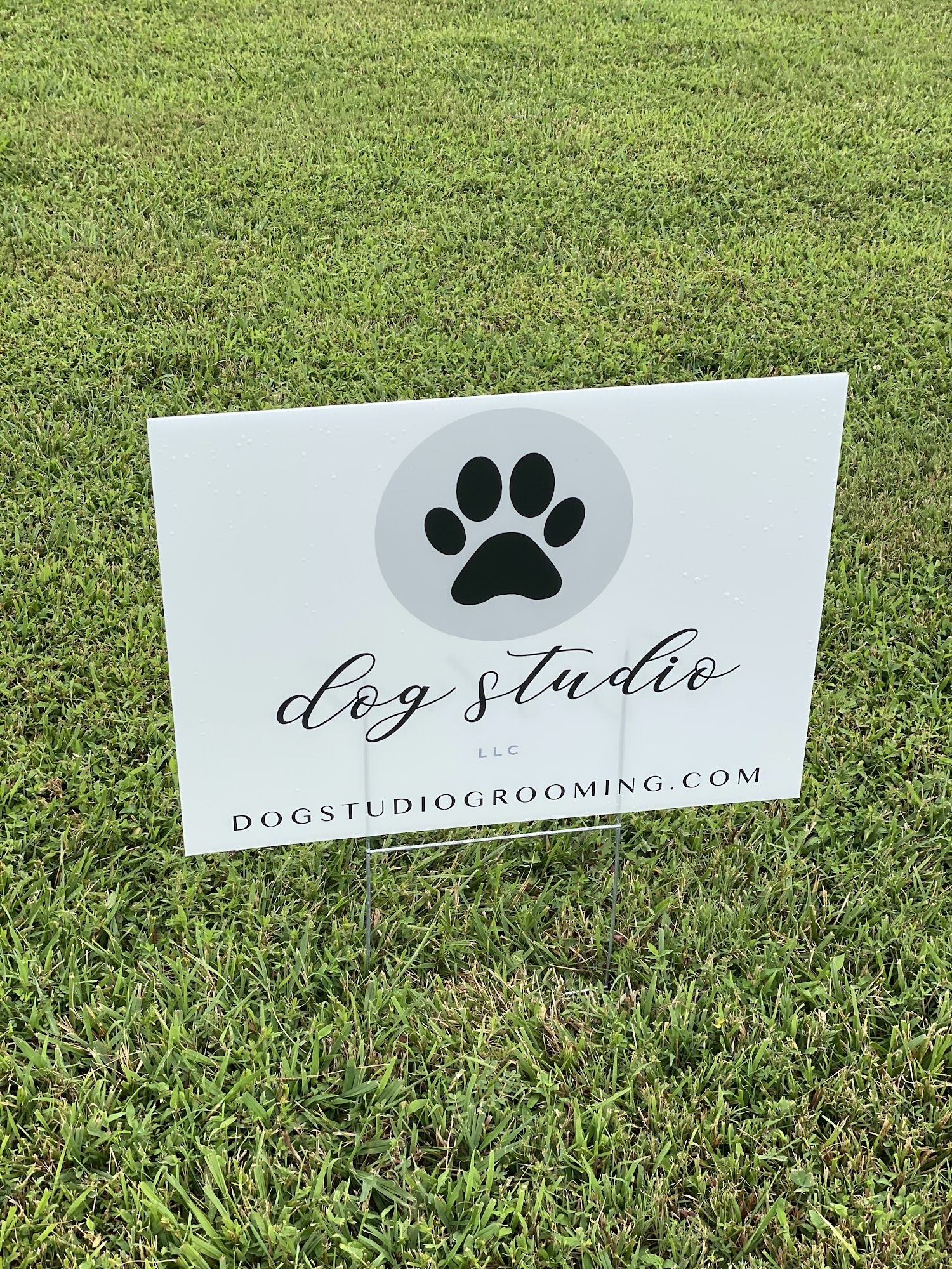 The Dog Studio Pleasant View