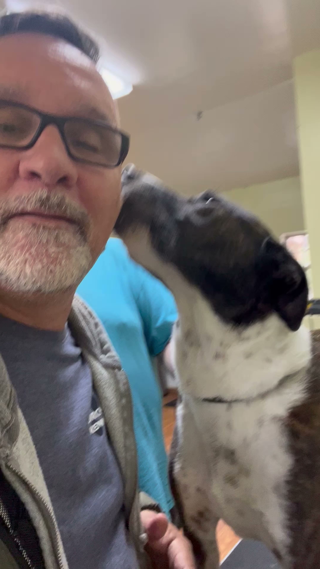 Birchwood Kennels Powell