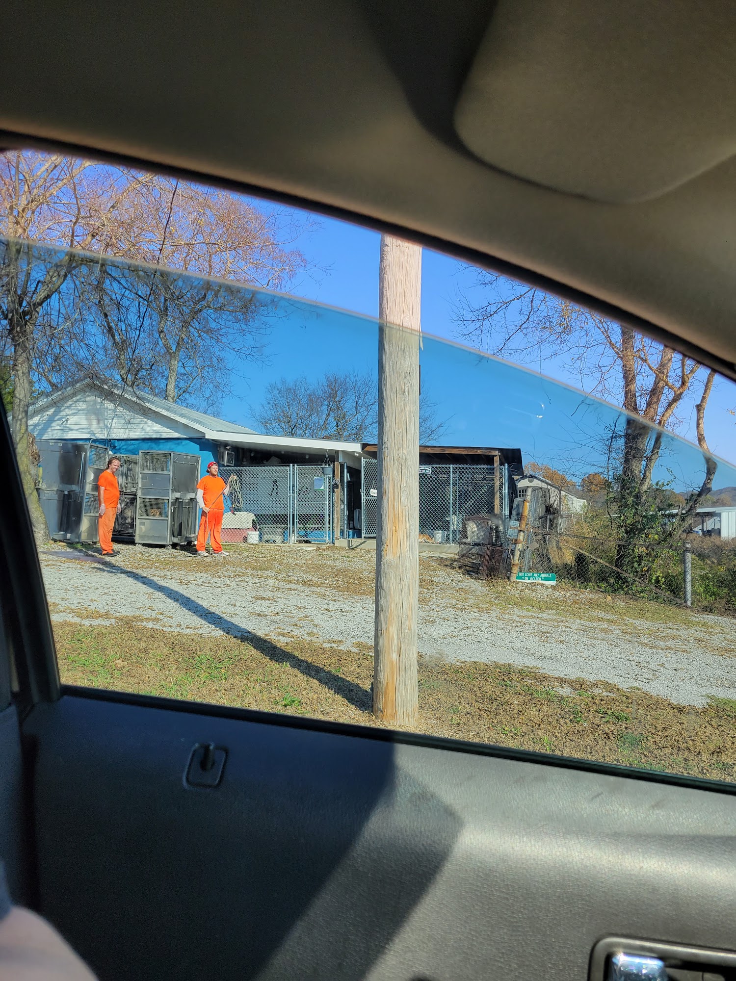 Giles County Animal Shelter Pulaski