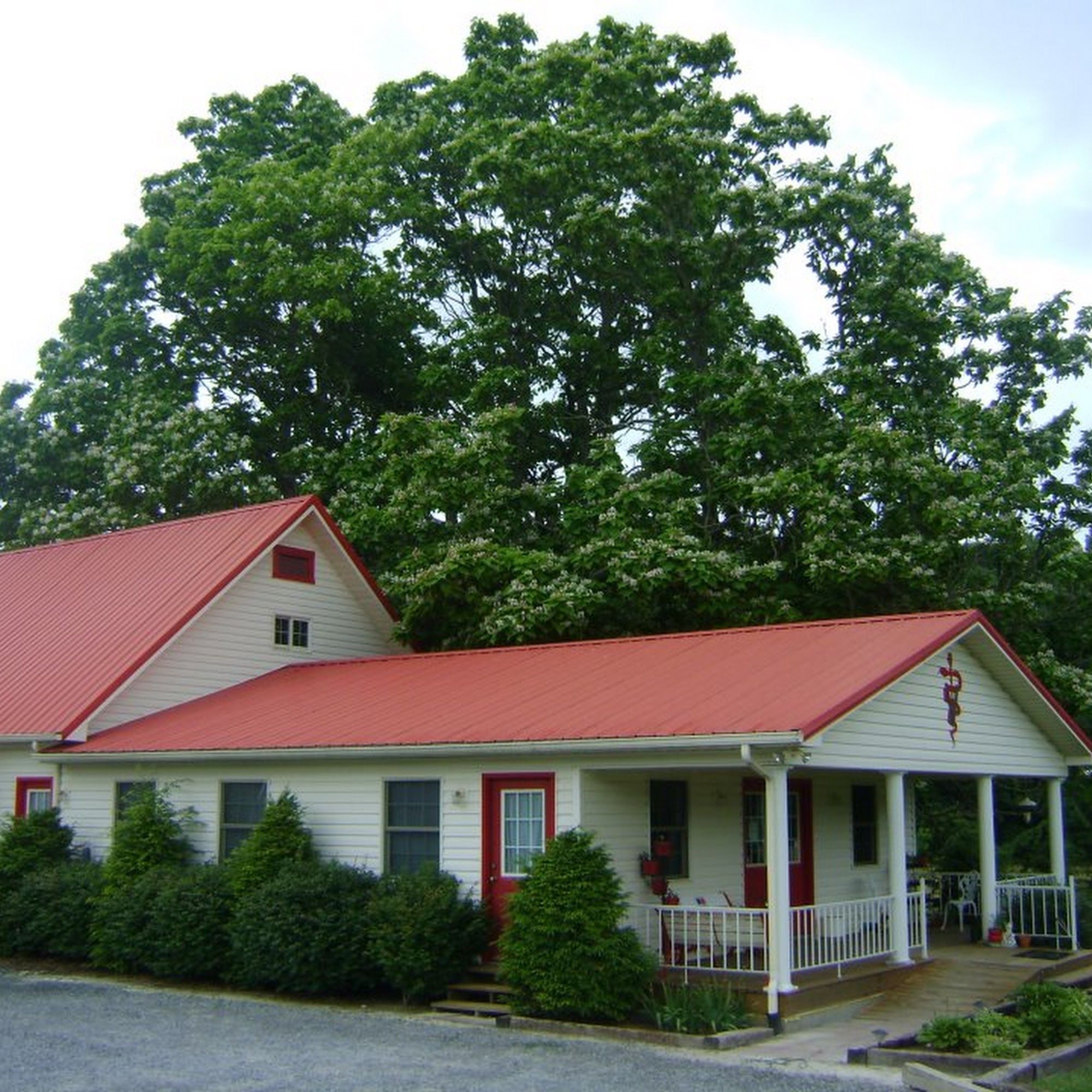 Roan Mountain Animal Hospital Roan Mountain