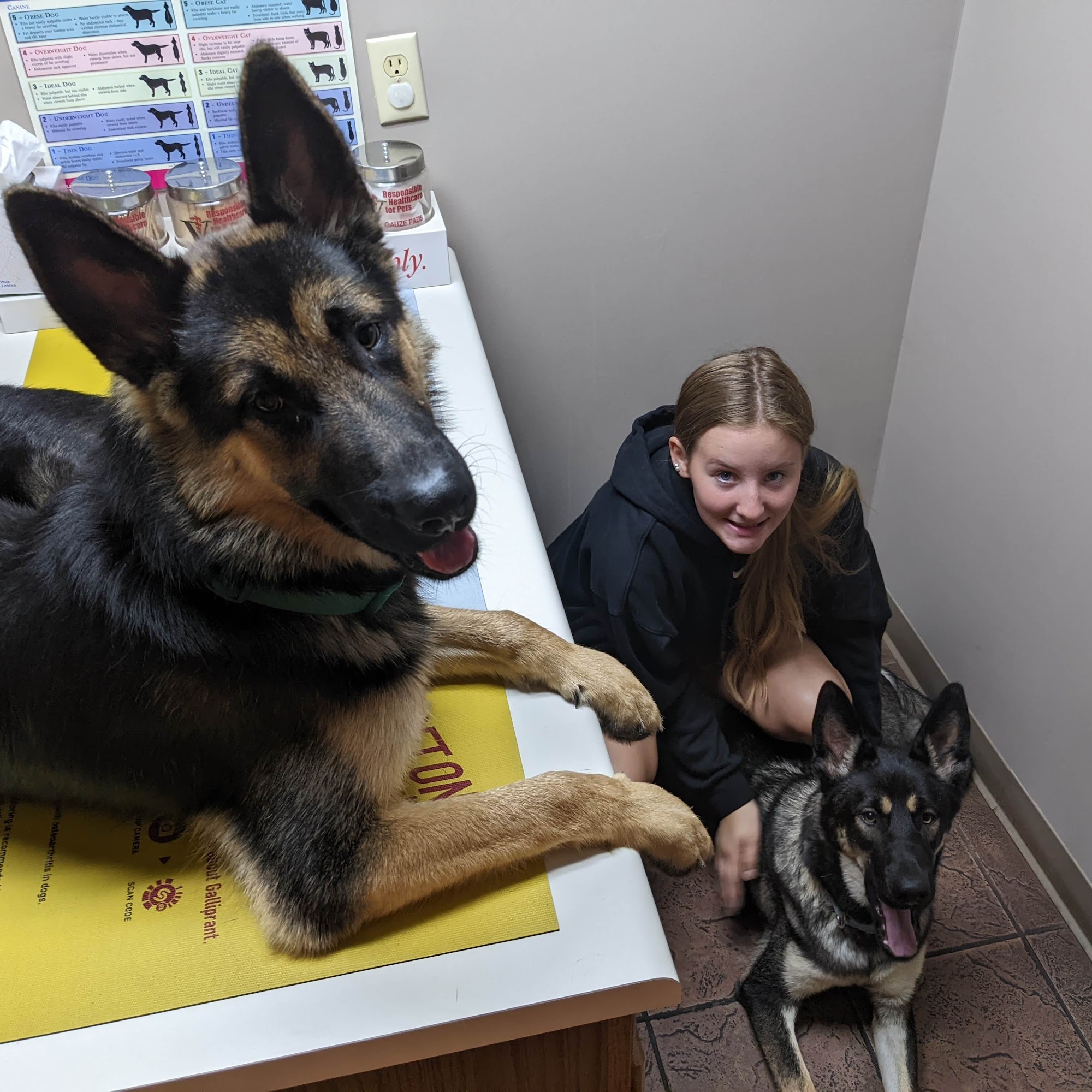 Rutledge Animal Clinic Rutledge