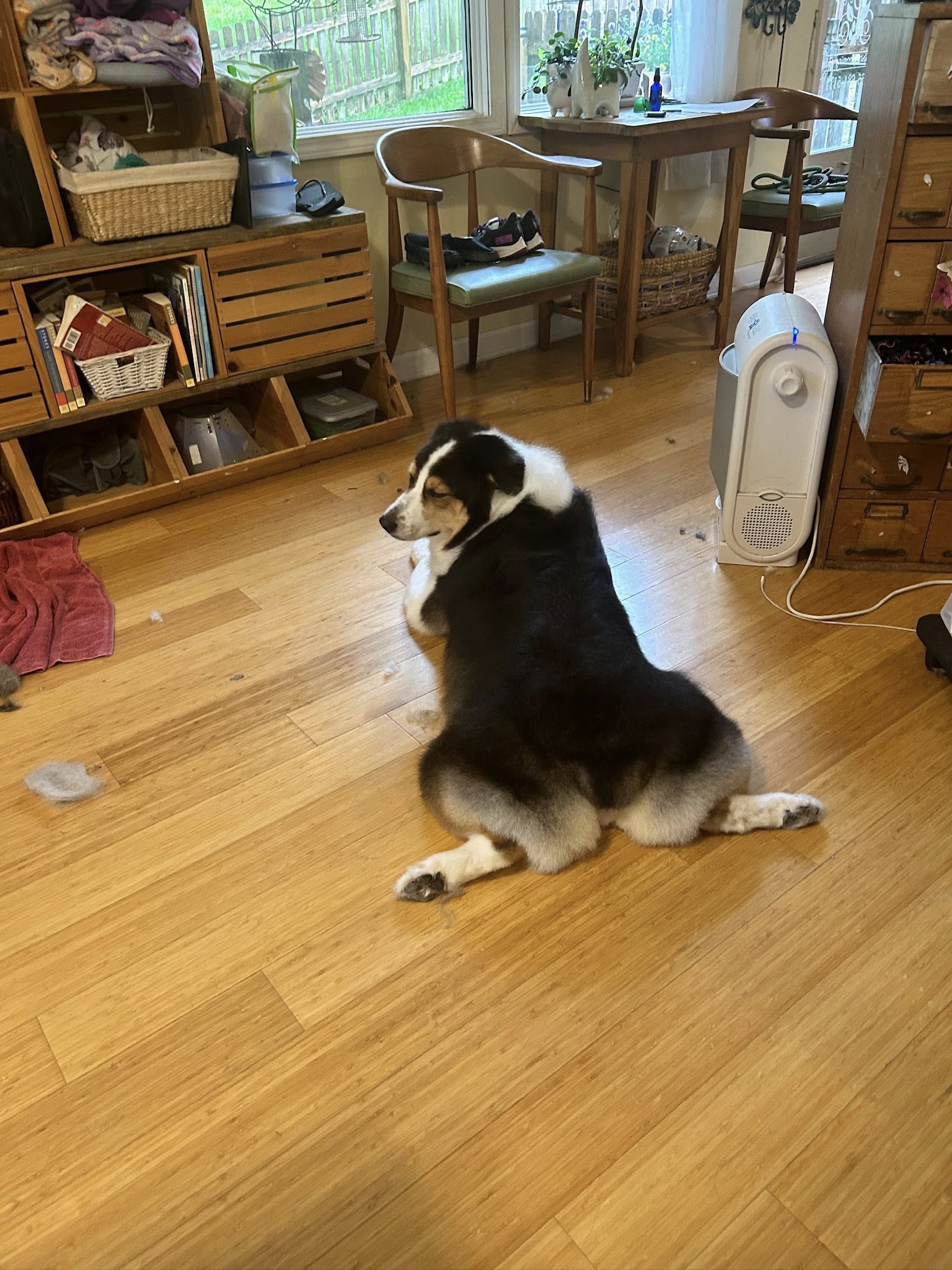 Serendipity Grooming Salon