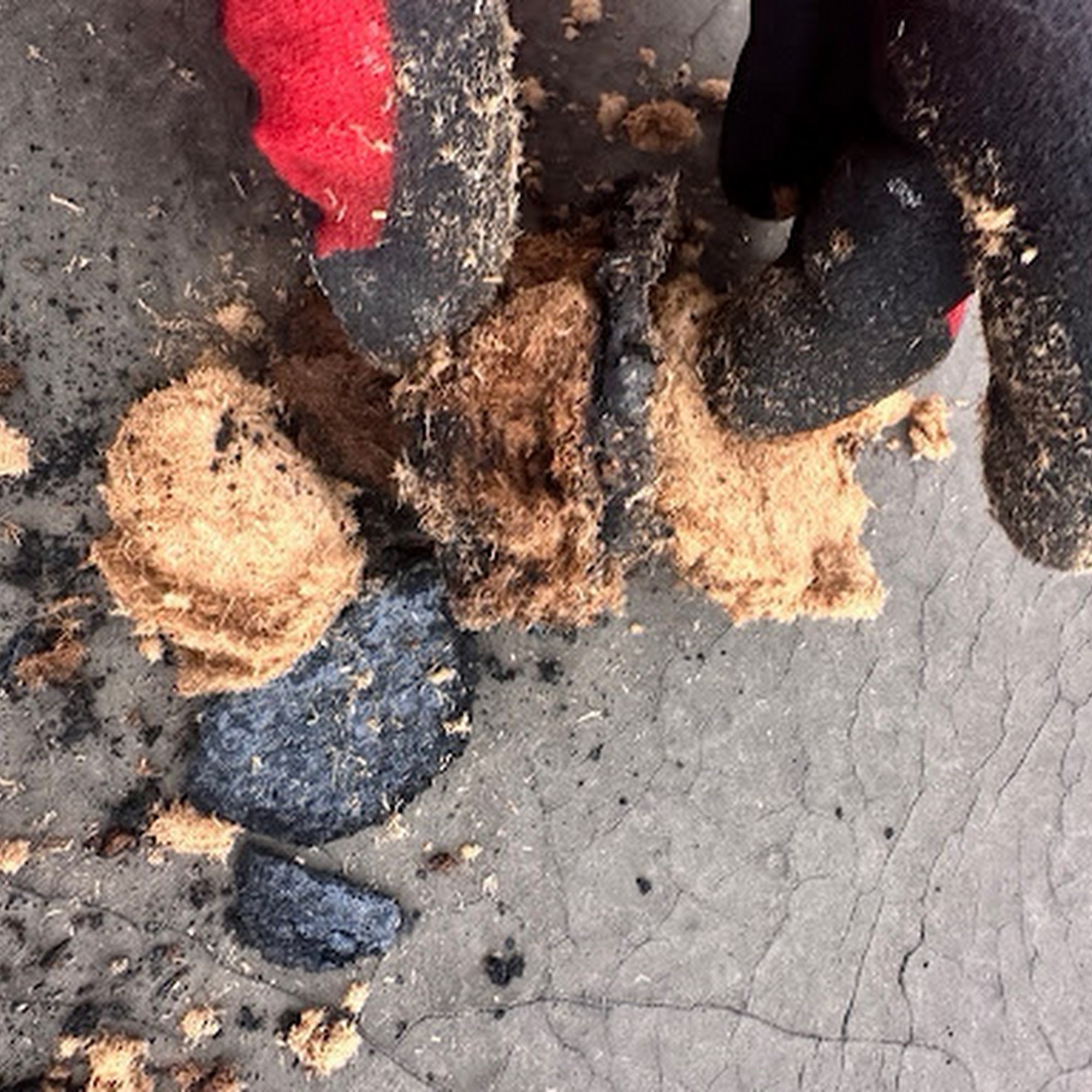 The David Group, LLC