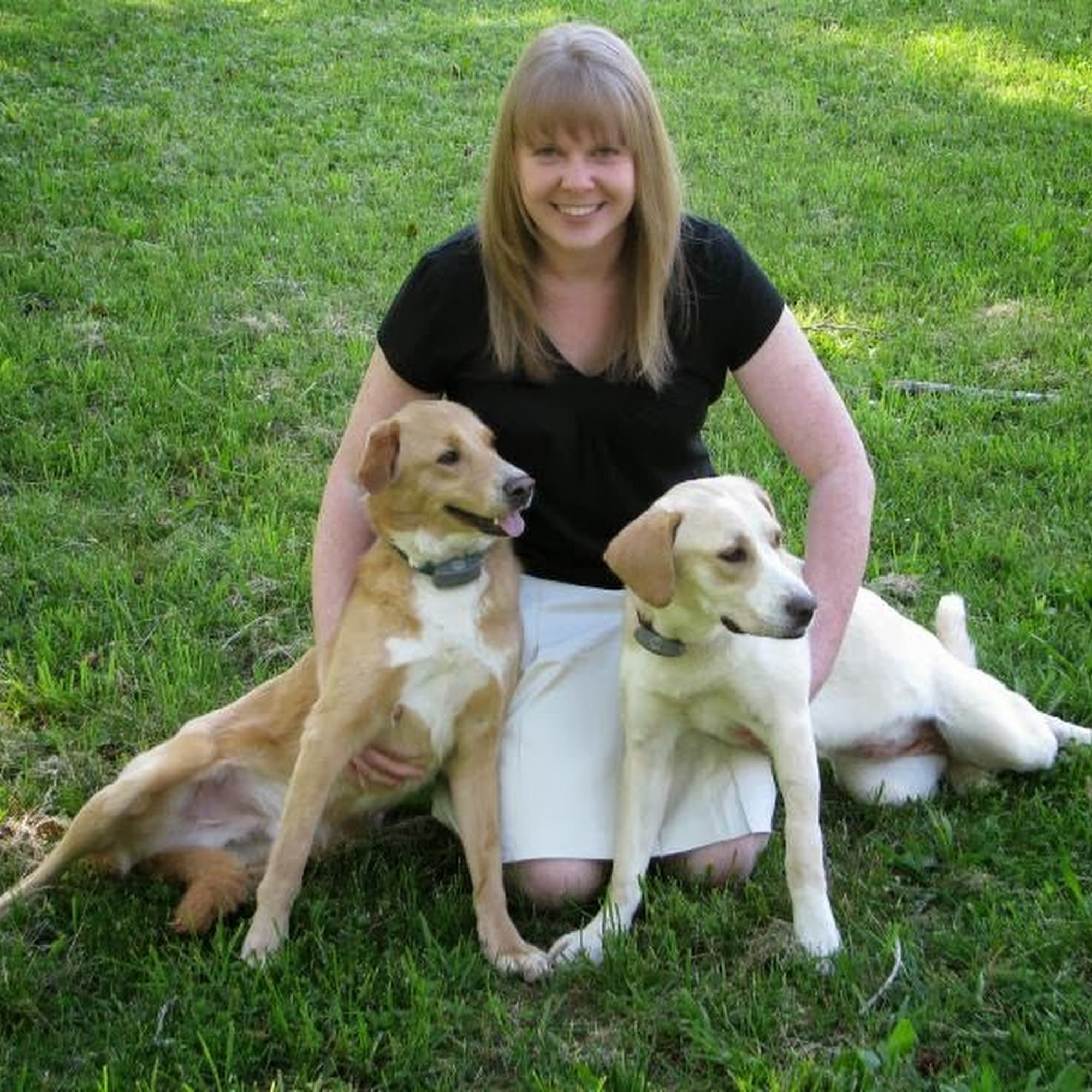 Signal Mountain Veterinary Clinic Signal Mountain