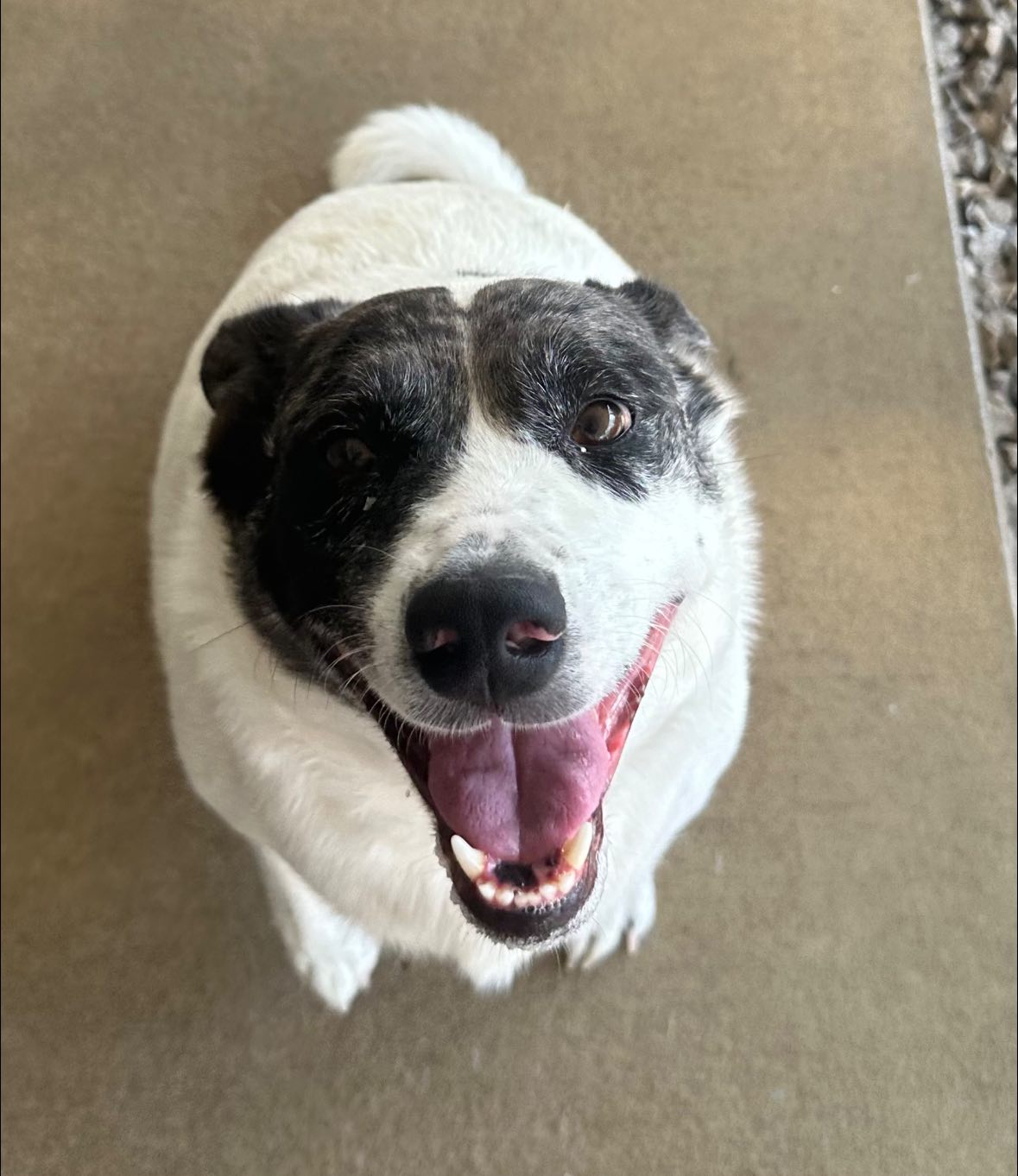 South Paw Bed & Bath Smithville