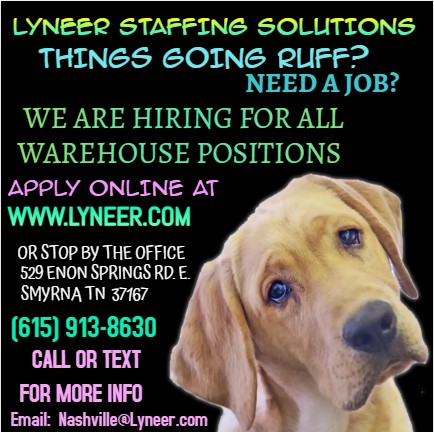 Lyneer Staffing Solutions