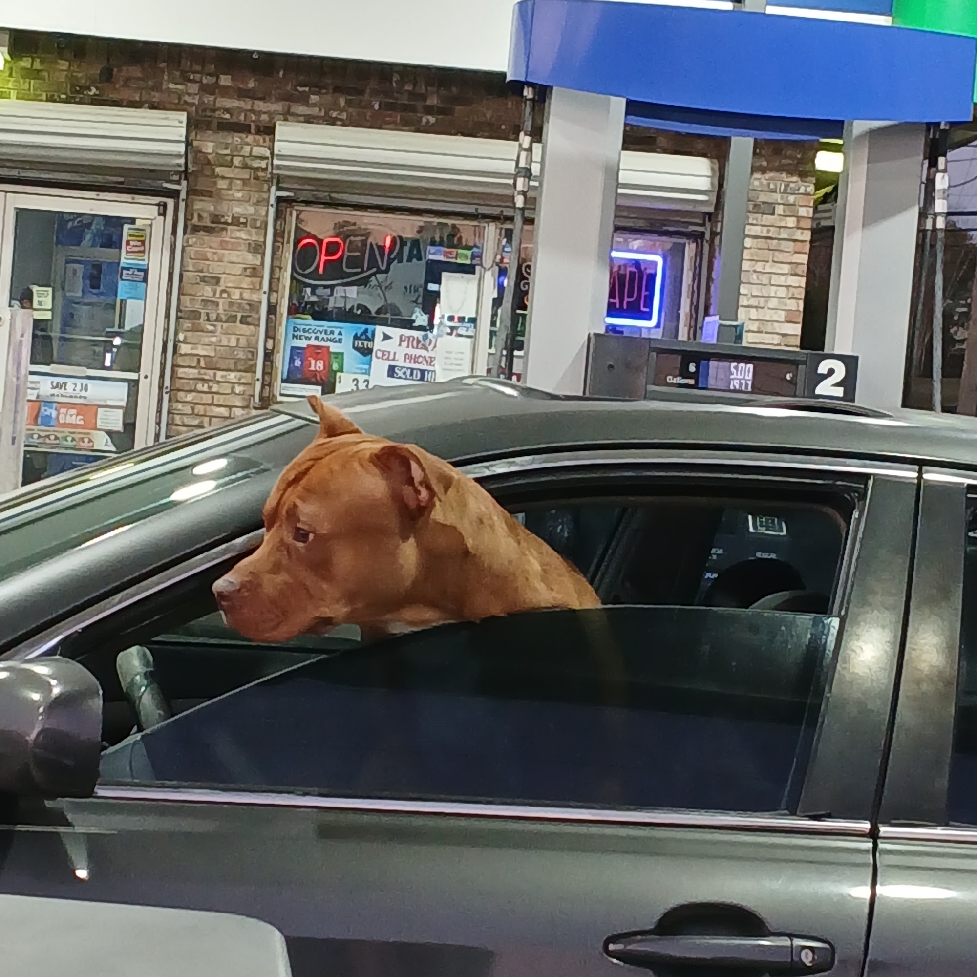 SPARTA DISCOUNT TOBACCO Sparta