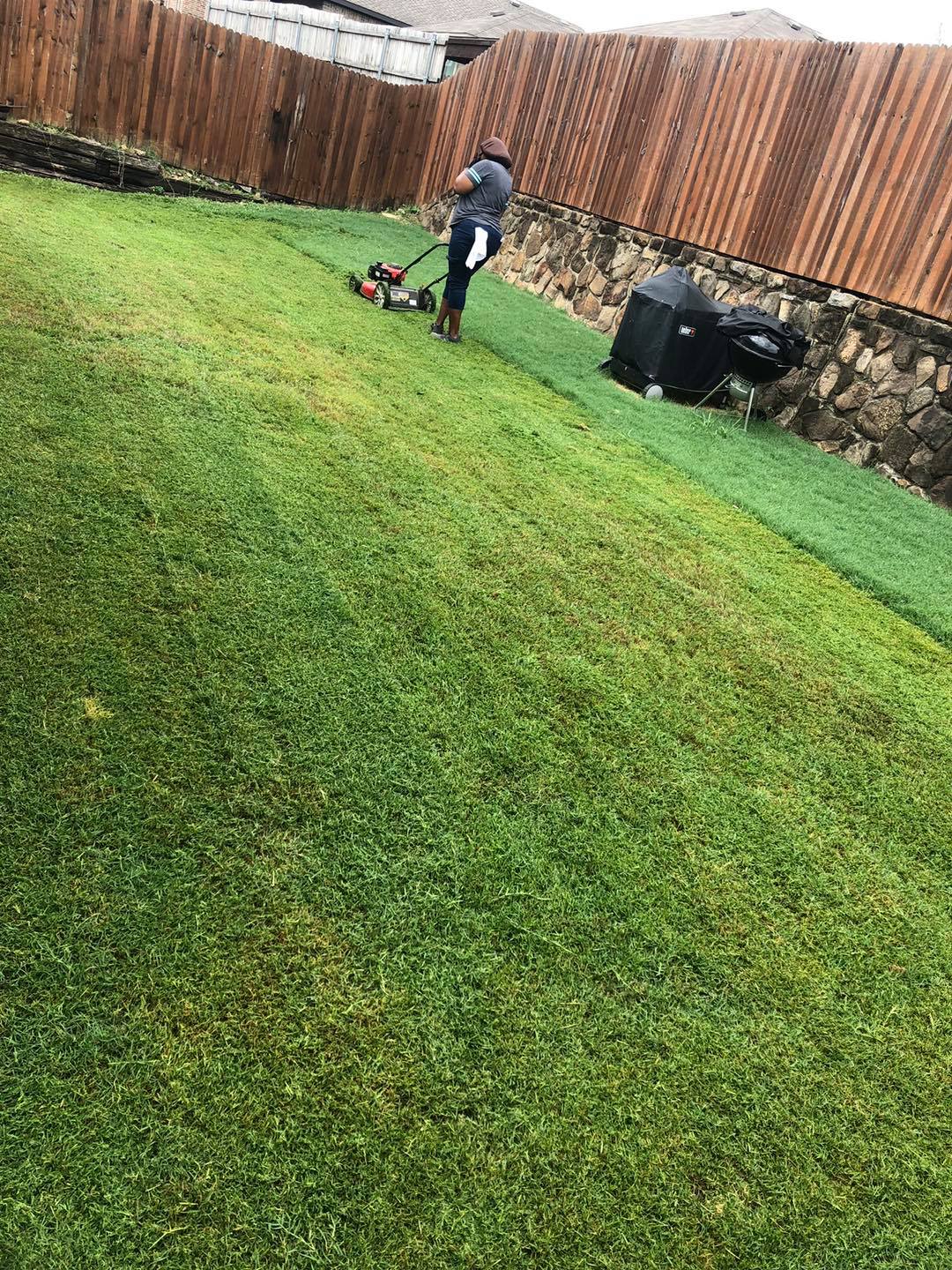 WILLIAMS FAMILY LAWNCARE AND LANDSCAPING