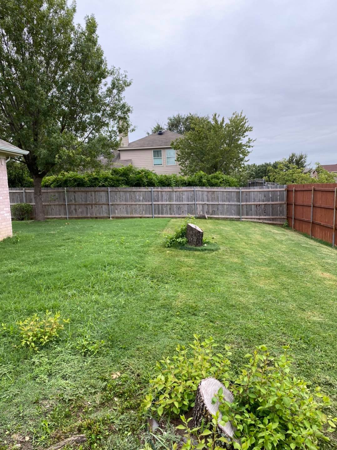 WILLIAMS FAMILY LAWNCARE AND LANDSCAPING