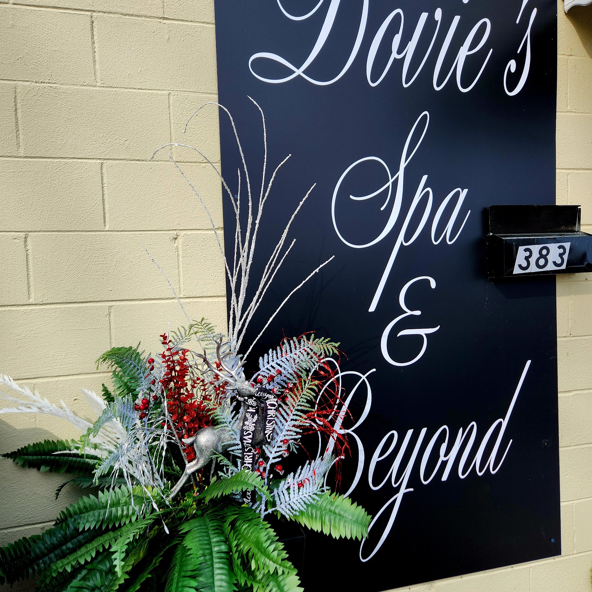 Dovie's Spa & Beyond Suites 383 W Bockman Way, Sparta Tennessee 38583