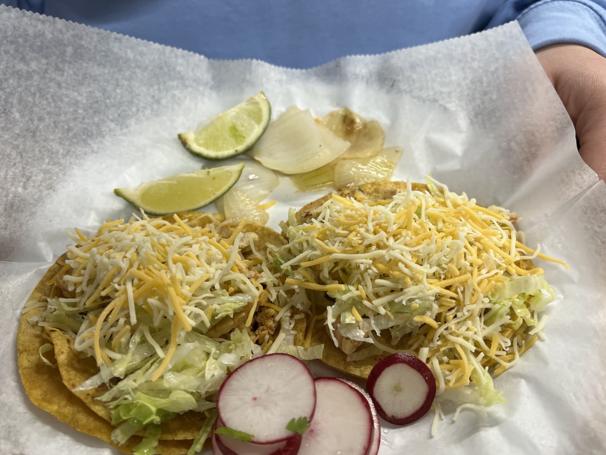 Tacos El Patron Taco Shop Spring Hill