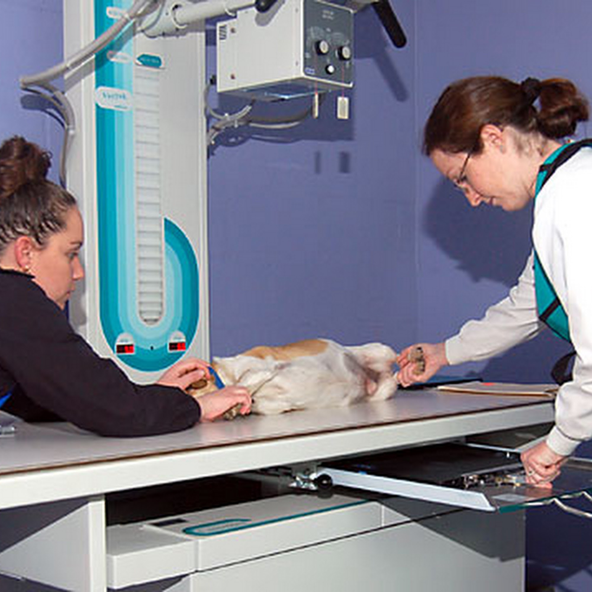 Monroe County Animal Hospital Sweetwater