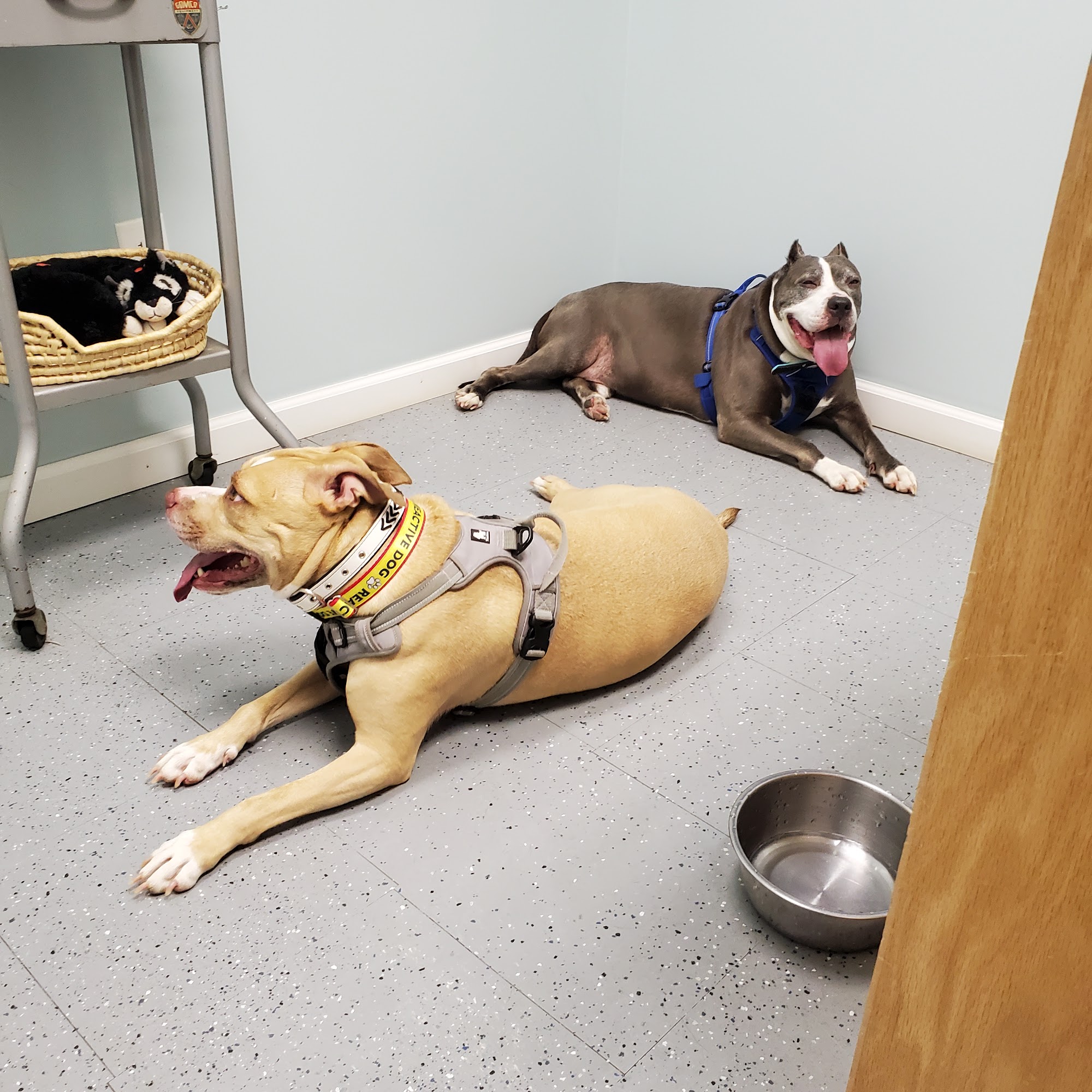 Tellico Plains Clinic Tellico Plains