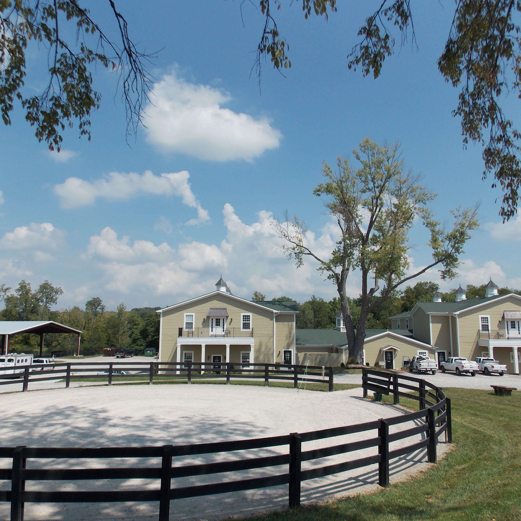 Tennessee Equine Hospital Thompson's Station