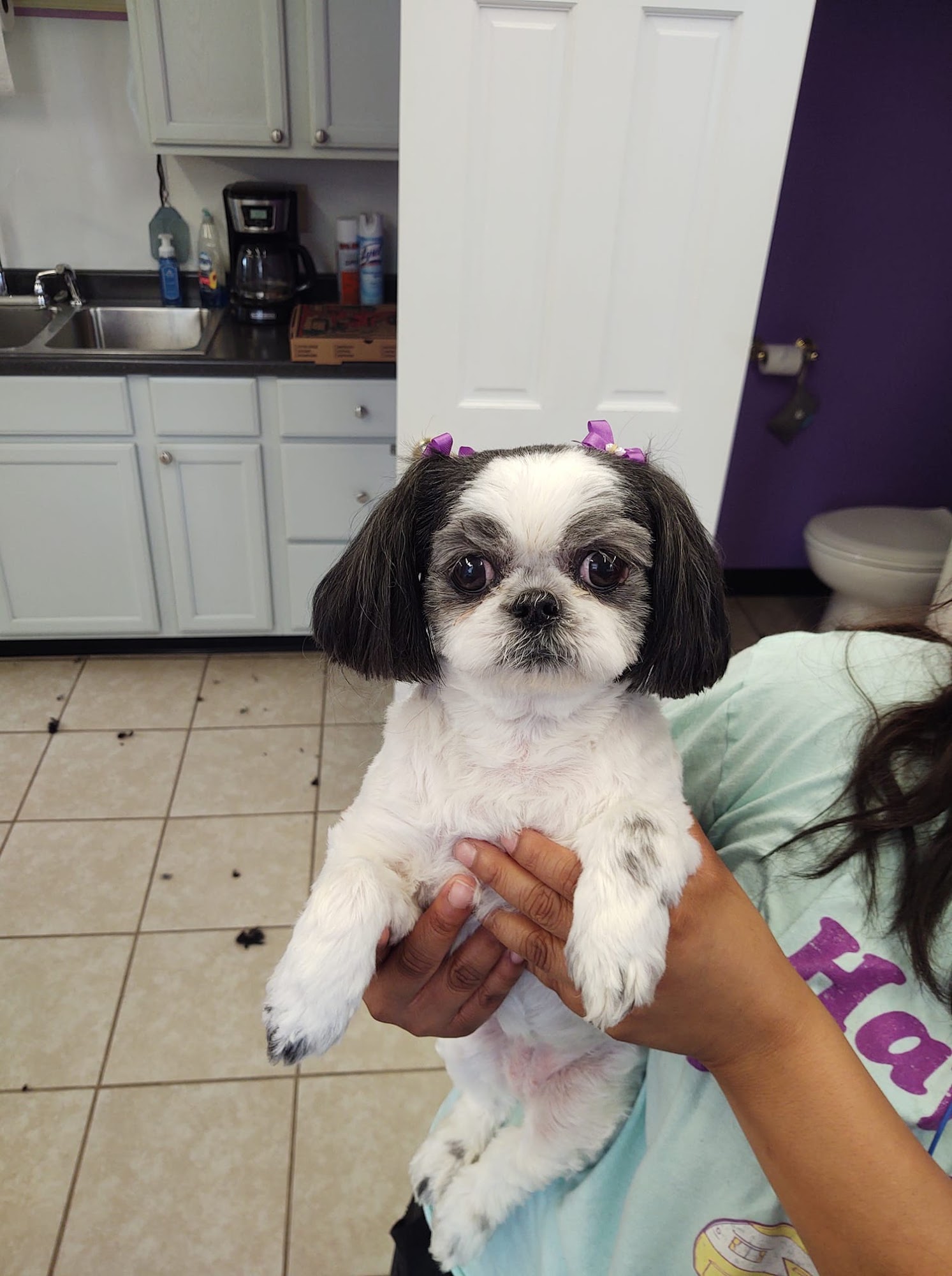 Pet Paradise Tullahoma