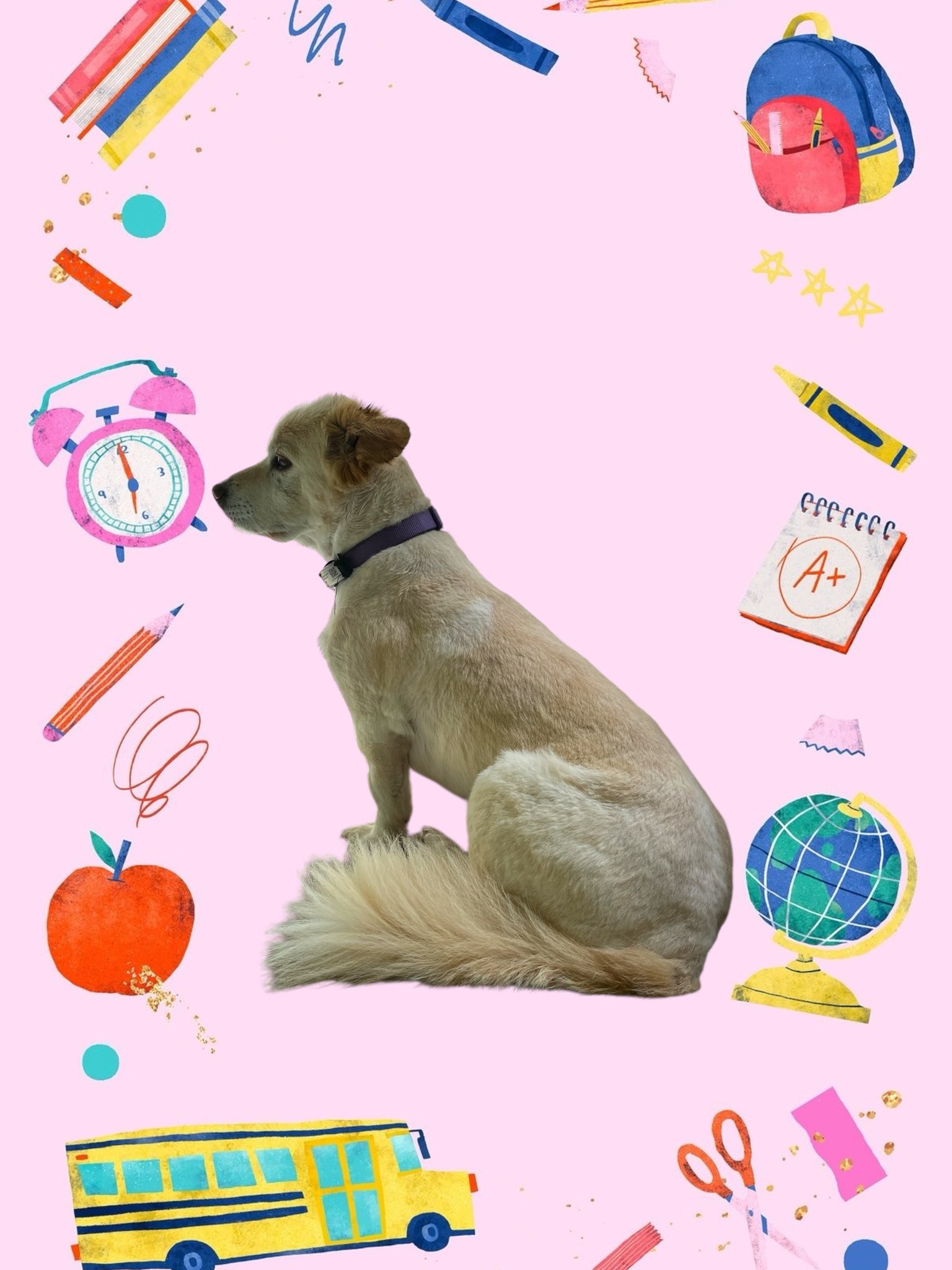 Downtown Dog Care, LLC Wartburg