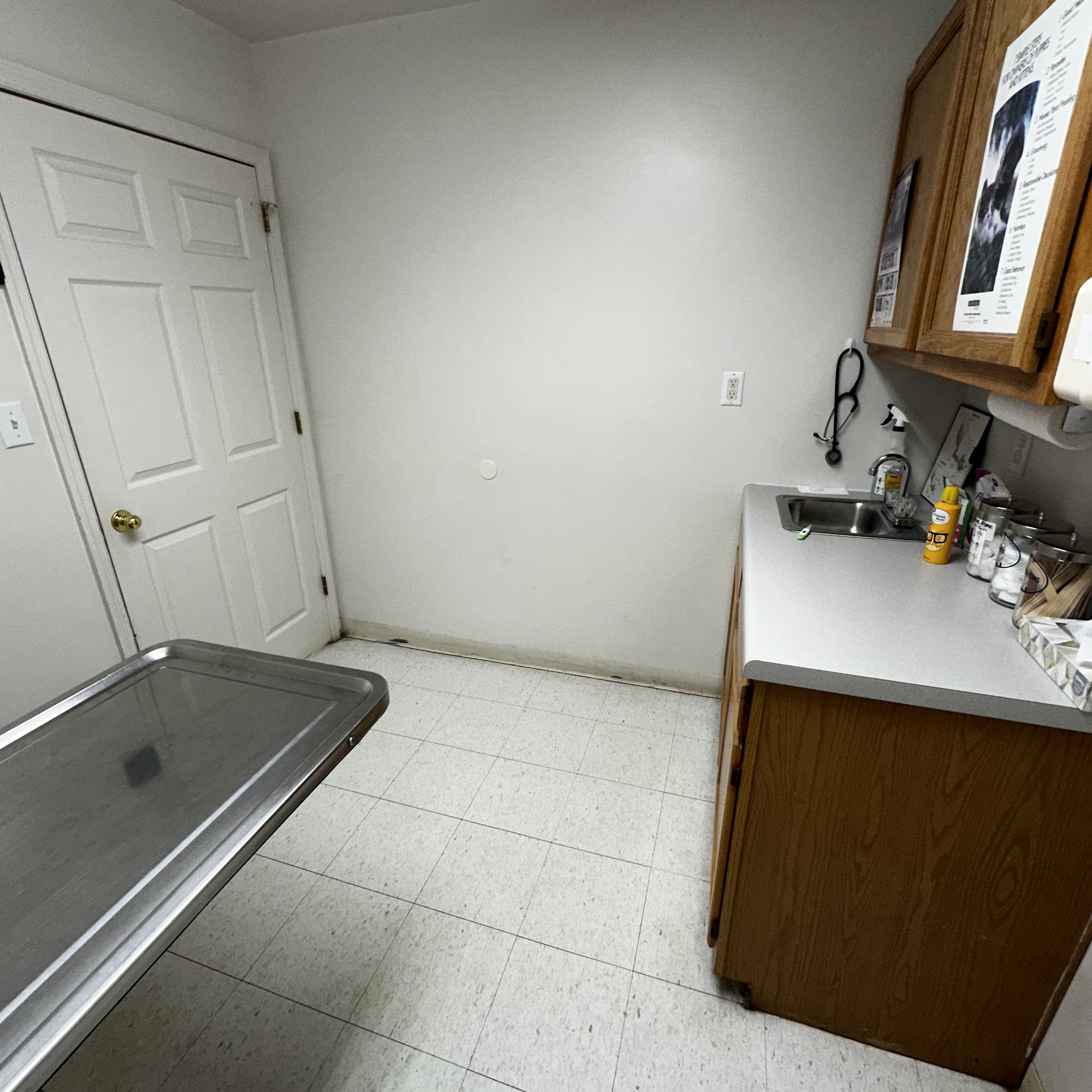 White Bluff Animal Clinic White Bluff