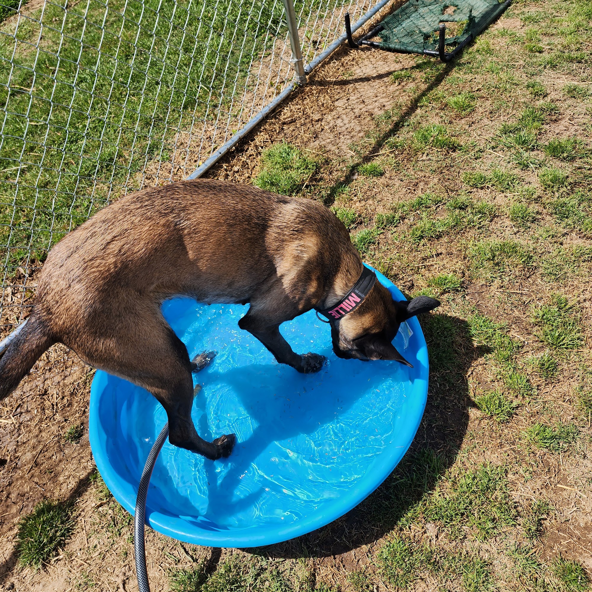 Pawsitive Styles and Stays Winchester