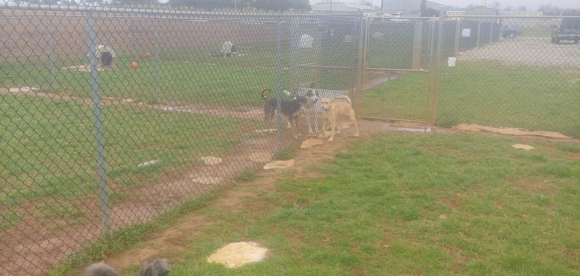 Animal Harbor Winchester