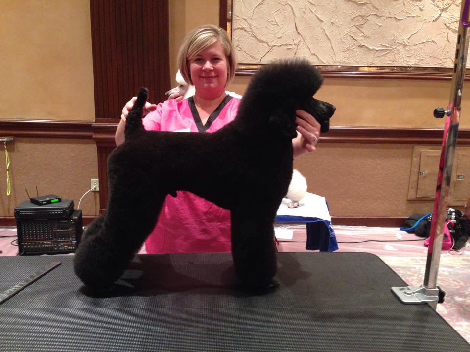 Purrfectly Pawlished Pet Salon Woodbury