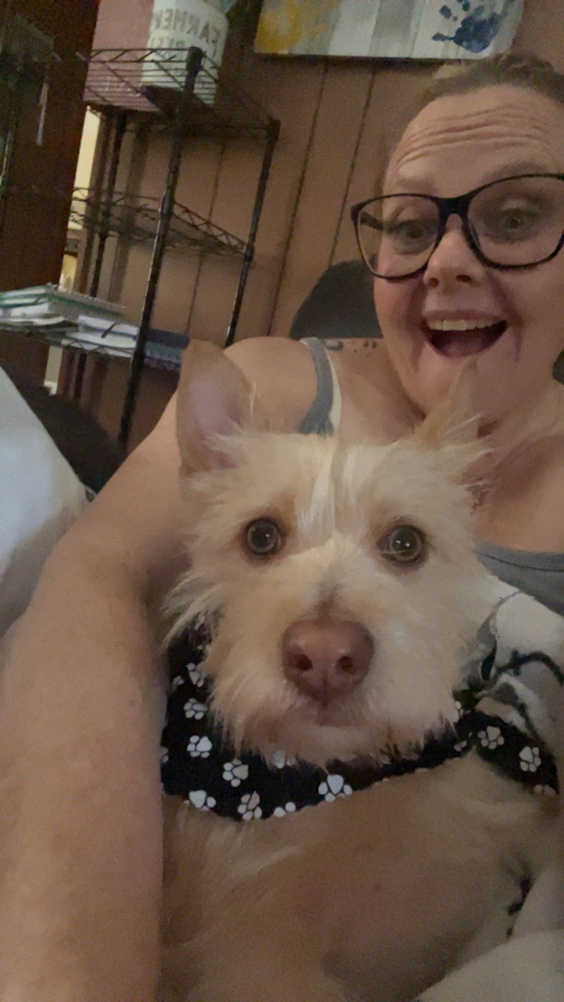 Canine District Abilene