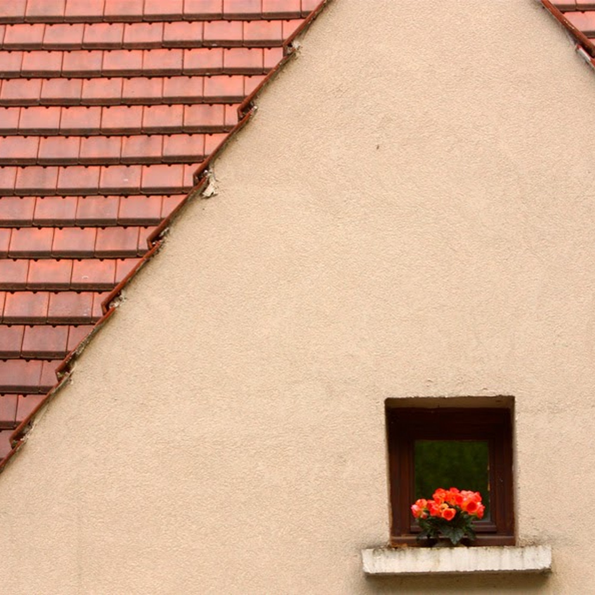 Andy's roofing