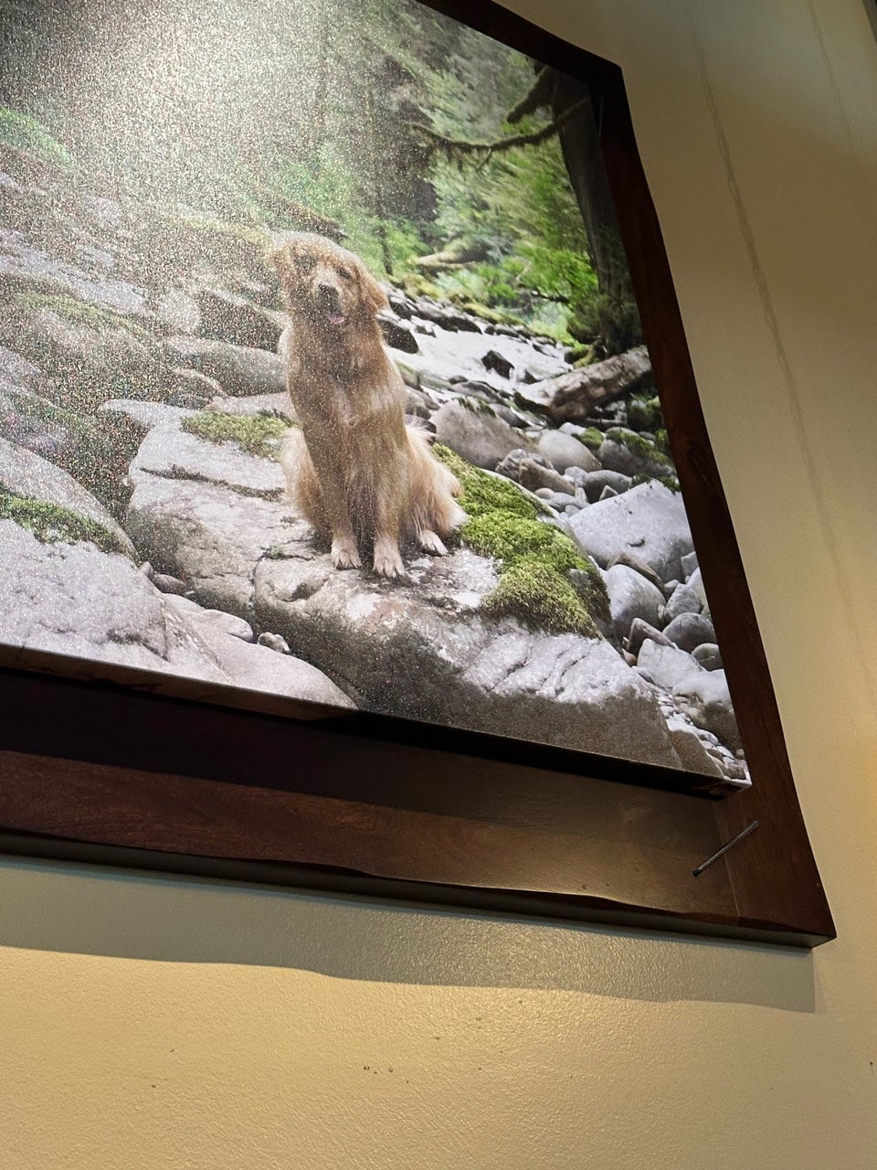 Lazy Dog Restaurant & Bar Addison