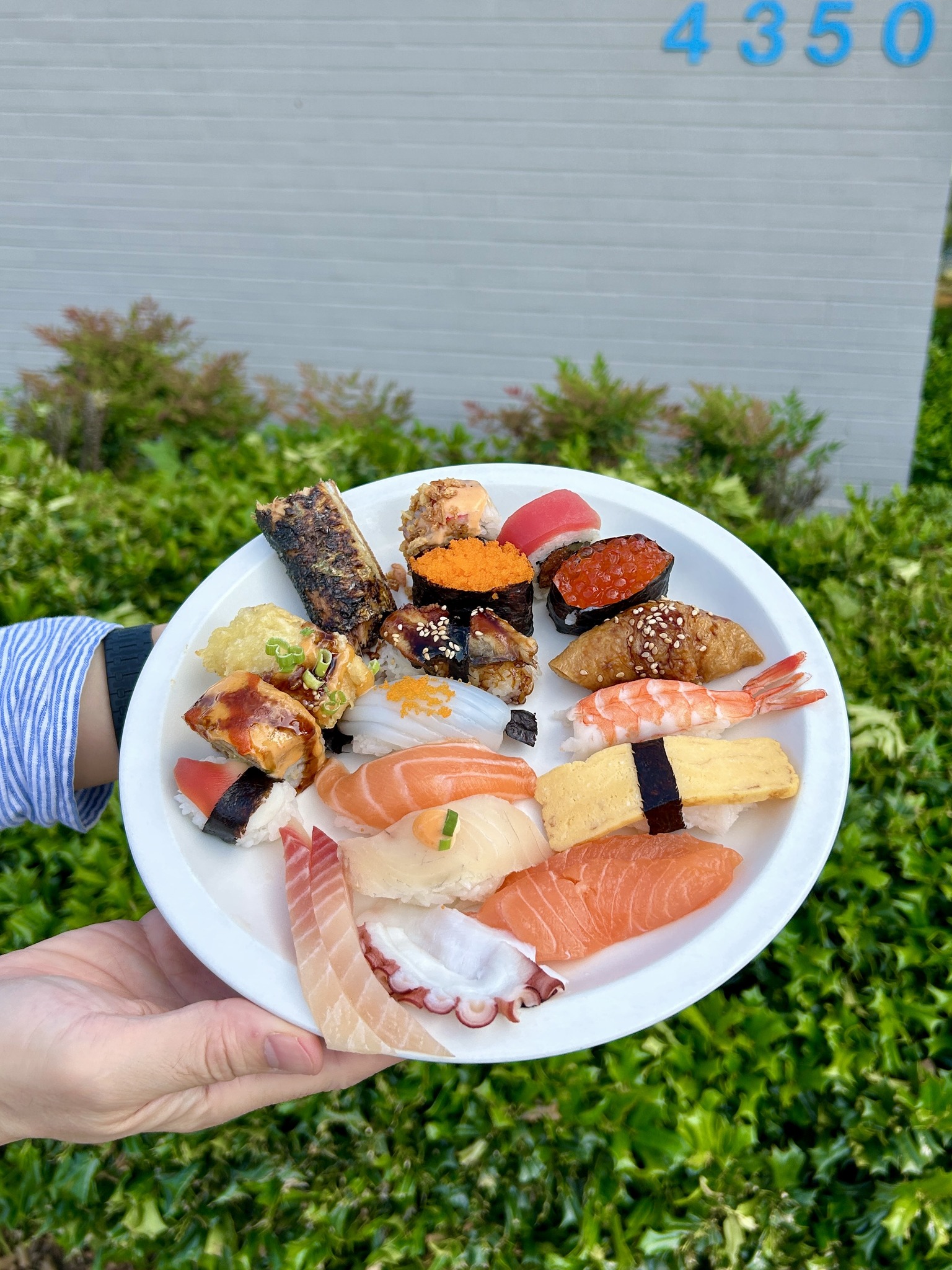 Osaka Sushi & Grill Bar Addison