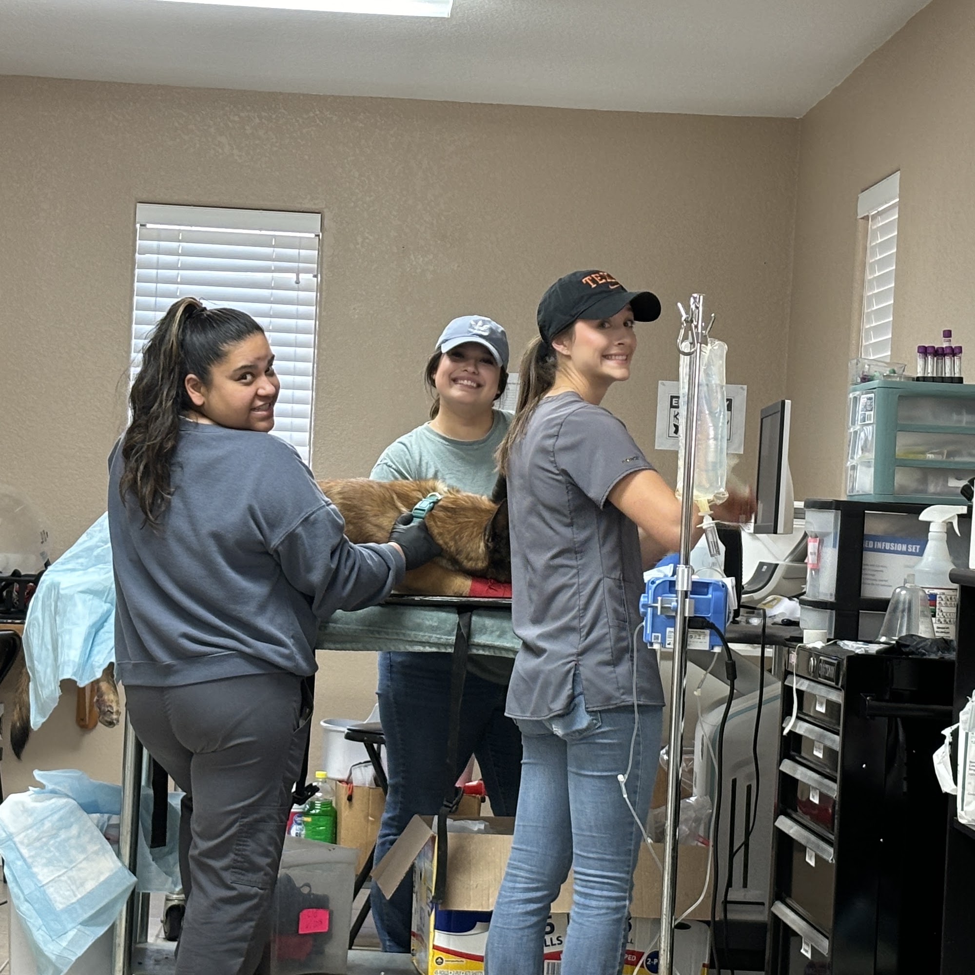 Wilkinson Veterinary Clinic Alice Alice