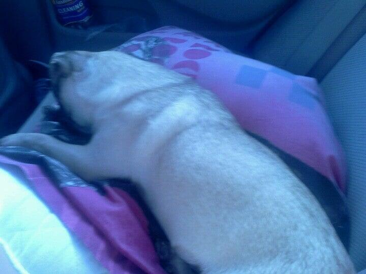 Photo credit: nextdoor