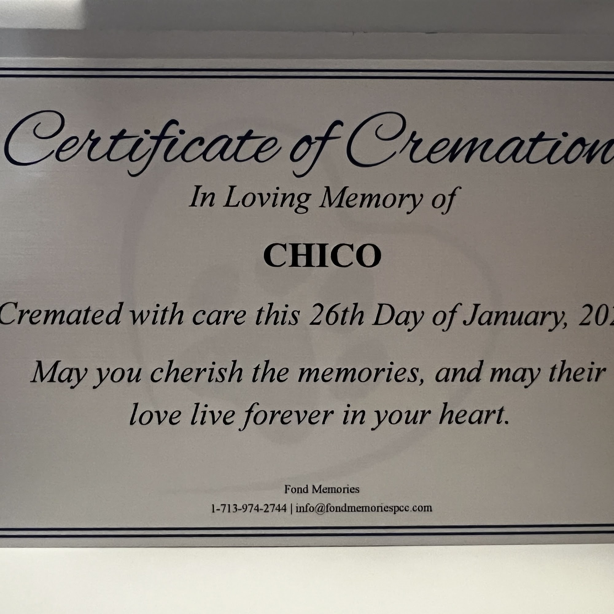 Hwy 6 Veterinary Clinic Alvin